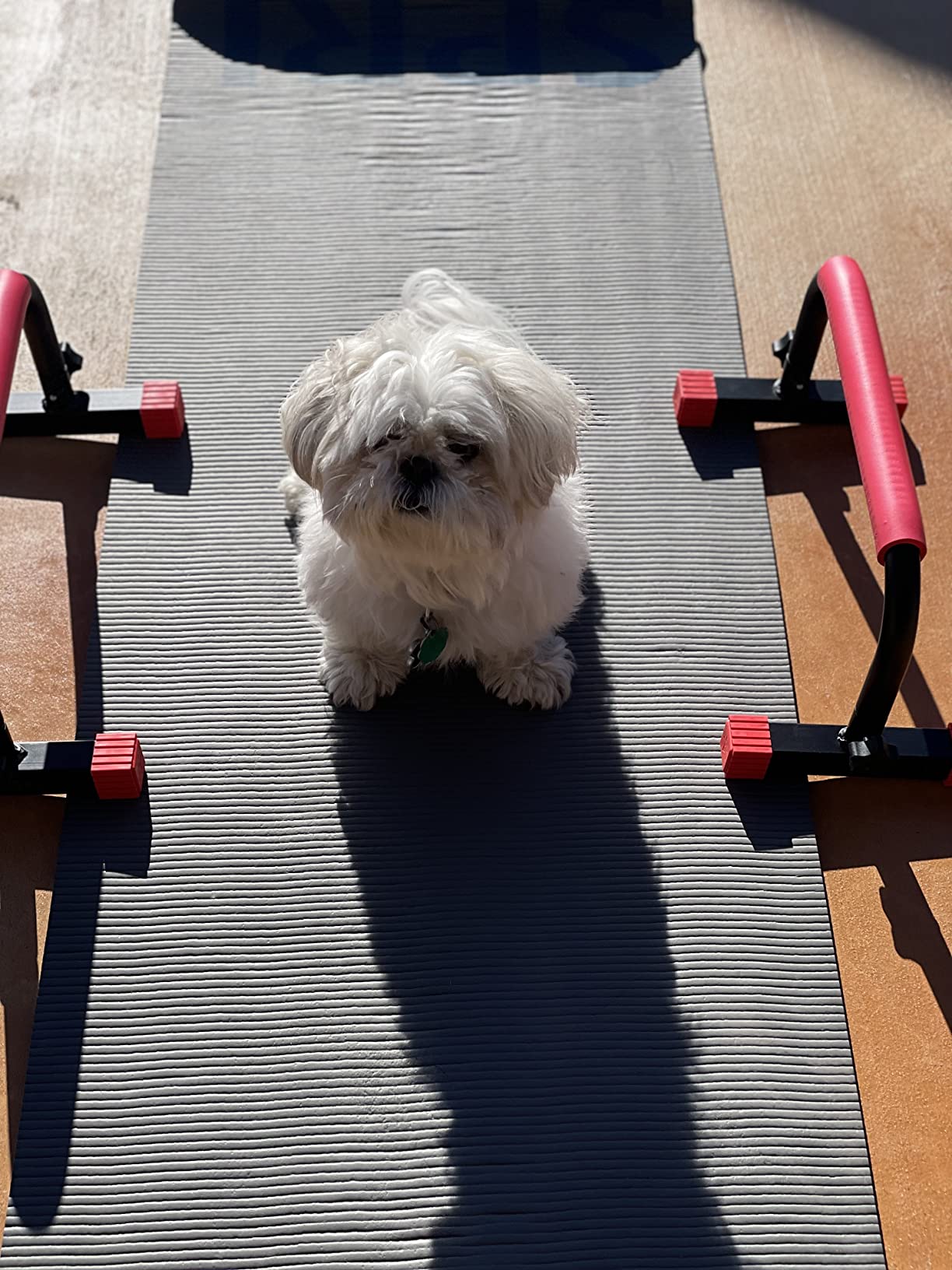 Rubberbanditz Parallette, Parallel Bars & Dip Station | At Home Gym Workout Equipment, L-Sit Bars & Calisthenics Equipment for Home. Perfect for Push Ups, Dips, Handstands & Gymnastics. customer photo 1