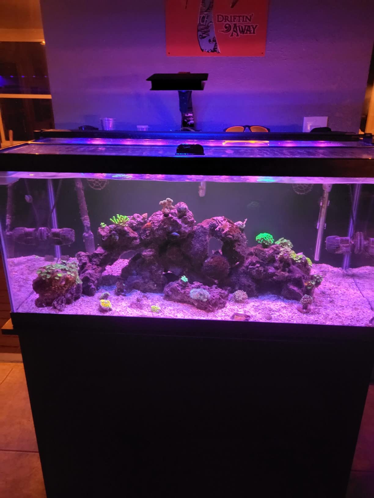Fluval SEA Marine Nano LED Aquarium Lighting with Bluetooth, 20 Watts, Glass customer photo 2