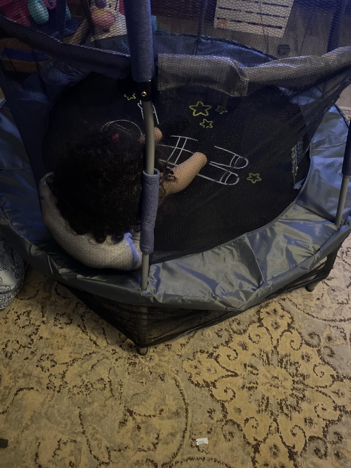 Skywalker Trampolines Mini Trampoline with Enclosure Net customer photo 2