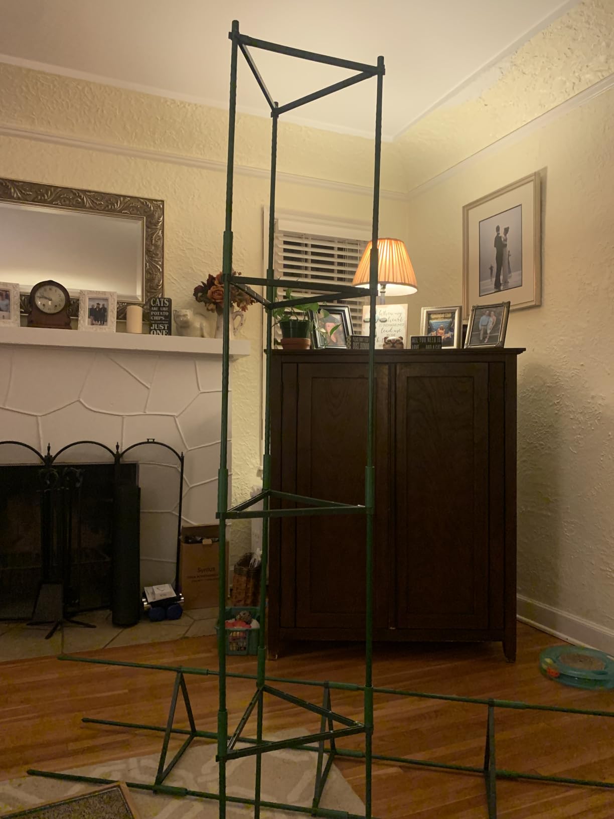K-Brands Tomato Cage - Tomatoes Plant Stakes Support Cages Trellis for Garden and Pots (3 Pack - Extra Tall Upto 68 inches) customer photo 2