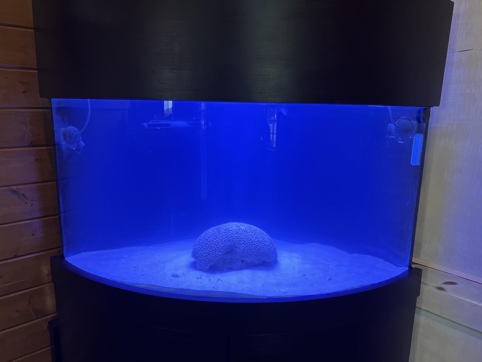 VIPARSPECTRA 165W LED Aquarium Light Dimmable Full Spectrum LED Reef Lights for Coral Saltwater Fish Tank, Remote/Timer Control customer photo 1