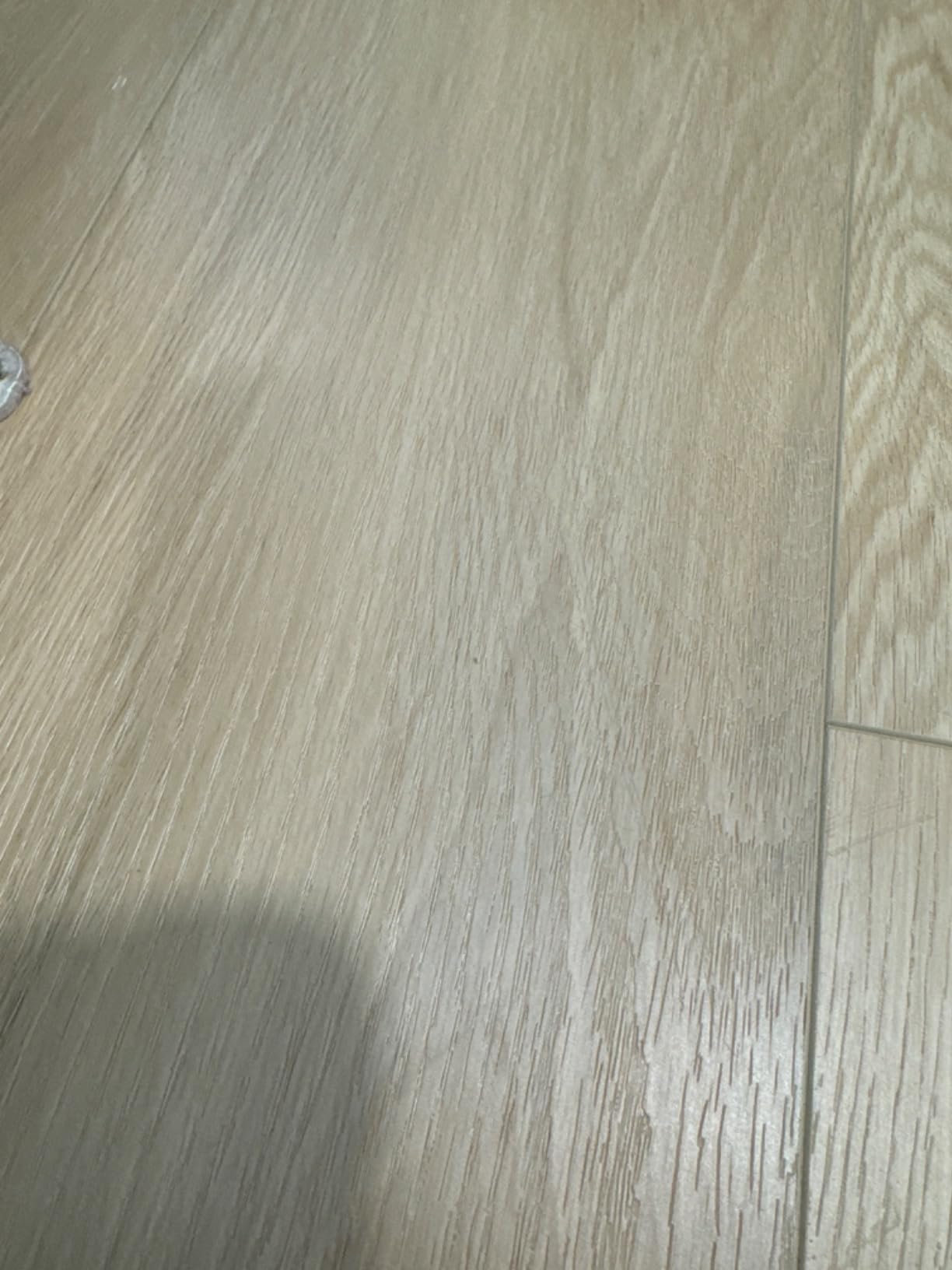 Ewbank EP170 Complete Floor Cleaner, Washer, Scrubber, Scourer, and Polisher, Interchangeable Brushes and Pads, 2200 rpm customer photo 2