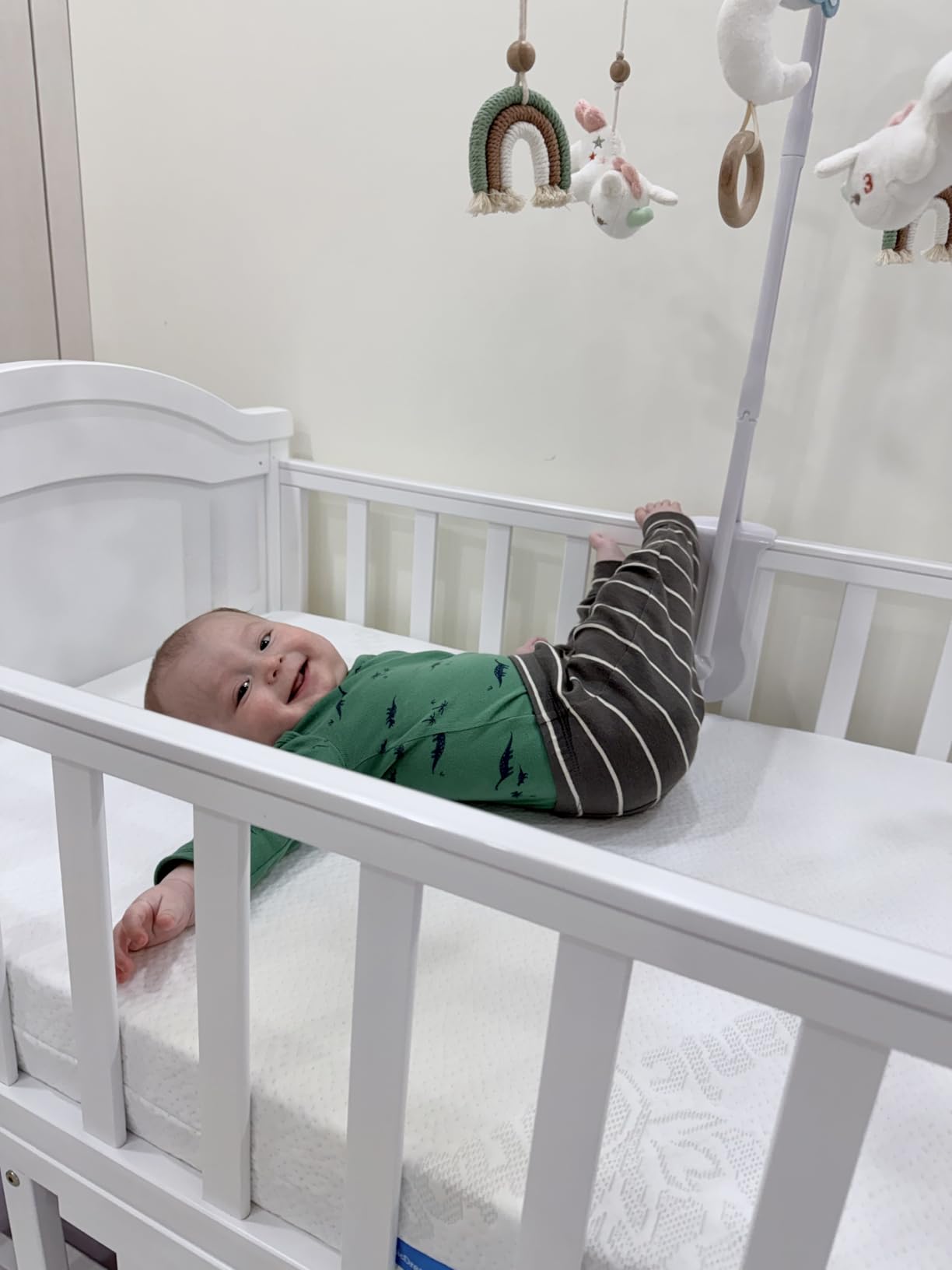 ORGANICDREAM Crib Mattress + Toddler Bed - 100% Breathable, Hypoallergenic, GREENGUARD Certified - 2-Stage Removable Cover - Deluxe 6