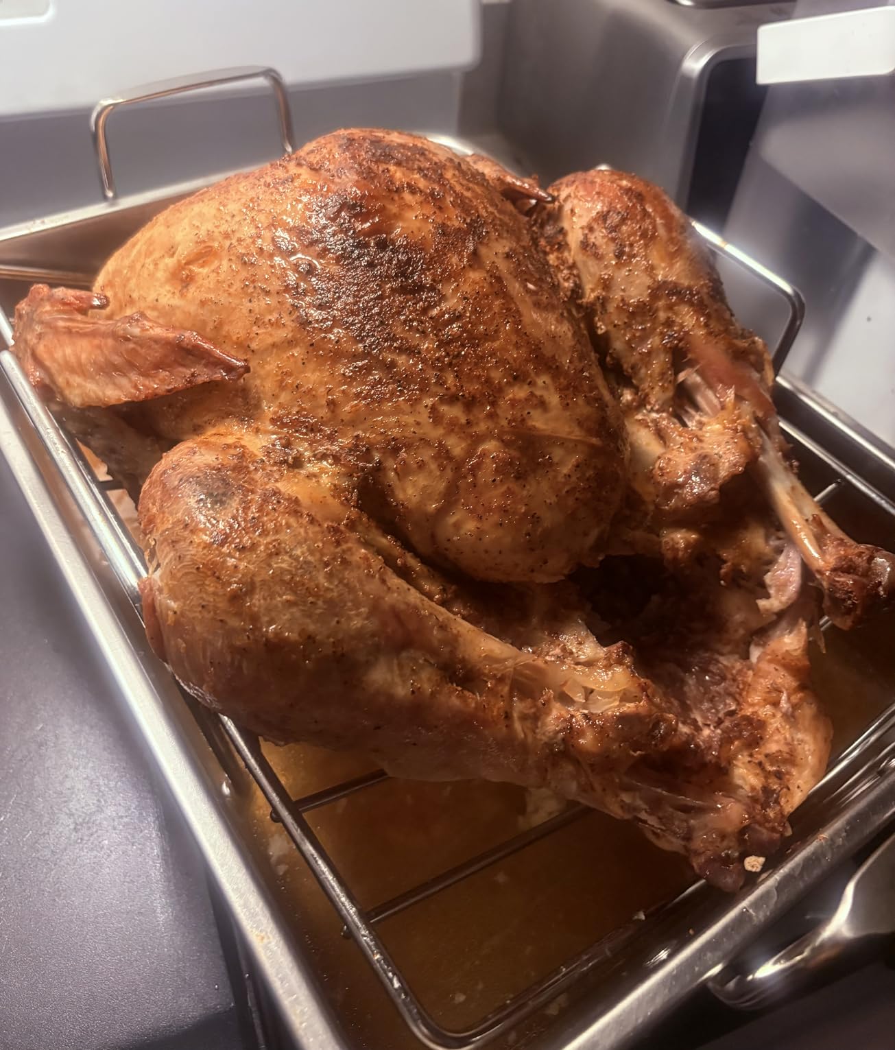 E-far Roasting Pan, 16 x 11.5 Inch Stainless Steel Turkey Roaster with V-shaped & Flat Rack, Non-toxic & Heavy Duty Deep Broiling Pan, Dishwasher Safe - Large customer photo 2