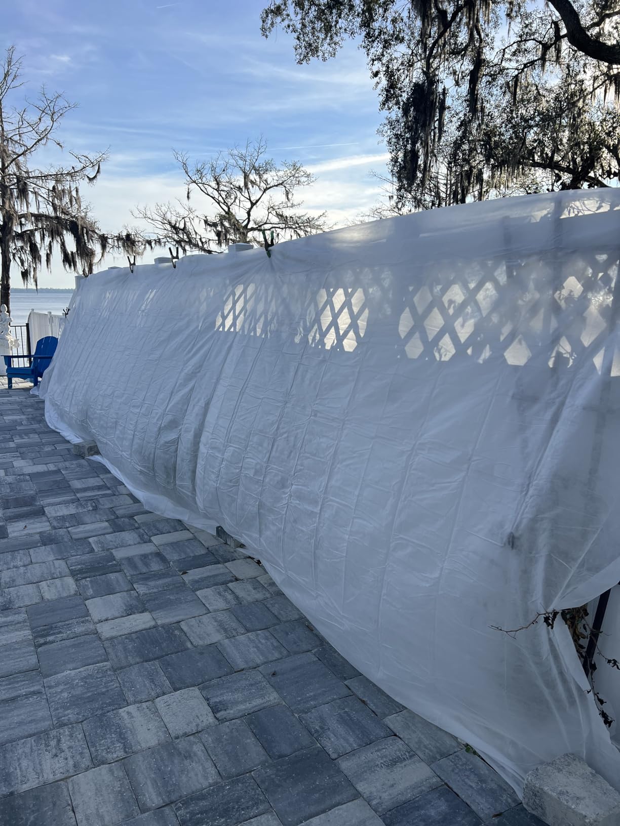 Plant Covers Freeze Protection, 10ft x 30ft 1.0oz/yd² Reusable Floating Row Cover, Frost Cloth for Outdoor Plants, Breathable Frost Blanket for Winter Cold Weather & Pest Protection customer photo 2