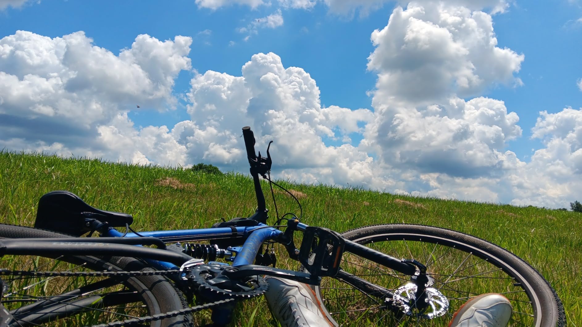 2025 Gravity FSX 29 LTD Dual Suspension 21 Speed Mountain Bike customer photo 2