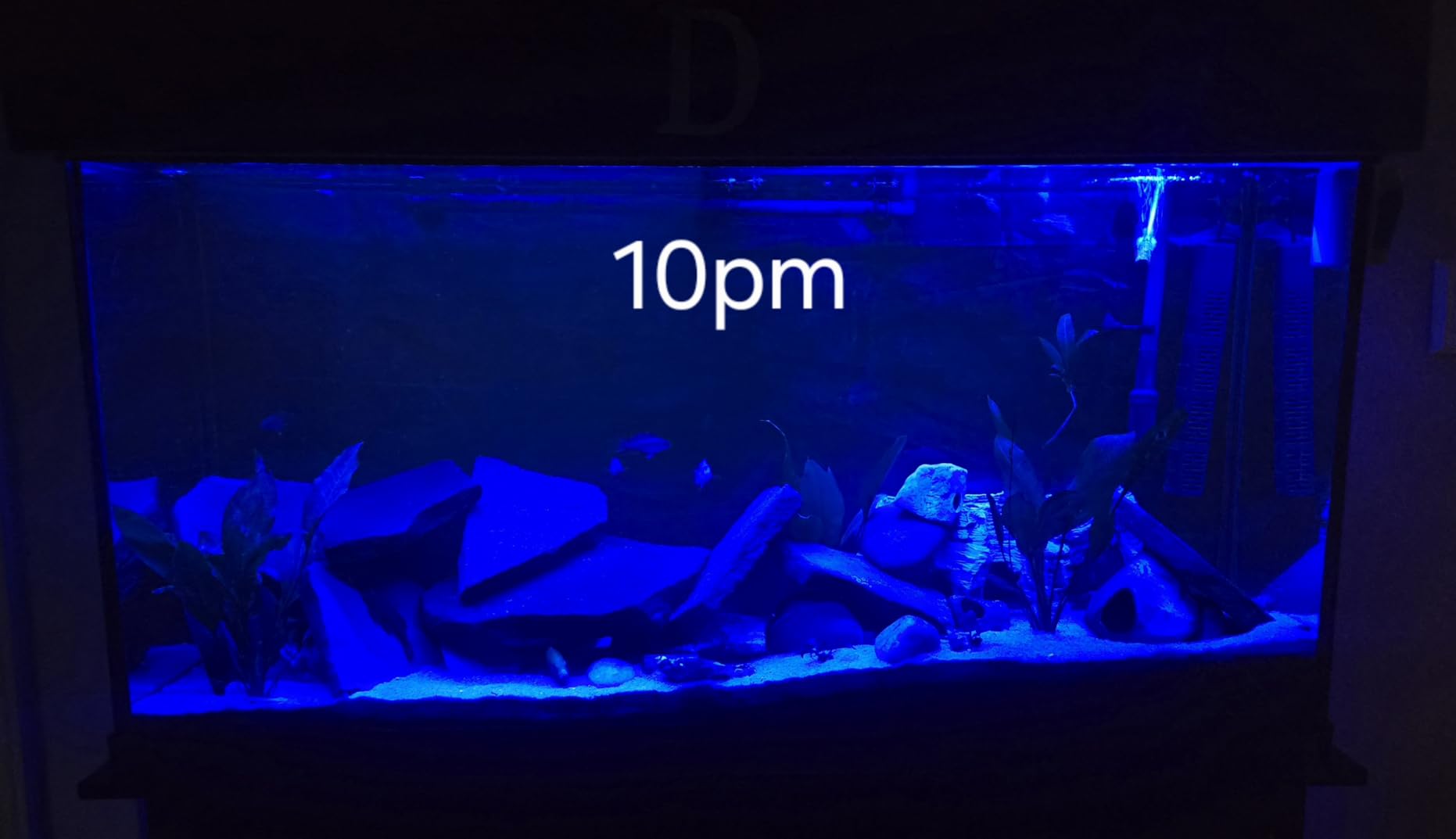 hygger 18W 24/7 Lighting Aquarium LED Light, Sunrise-Daylight-Moonlight Mode and DIY Mode, Adjustable Timer Adjustable Brightness Fish Tank Light with Extendable Bracket 7 Colors for Planted Tank customer photo 2