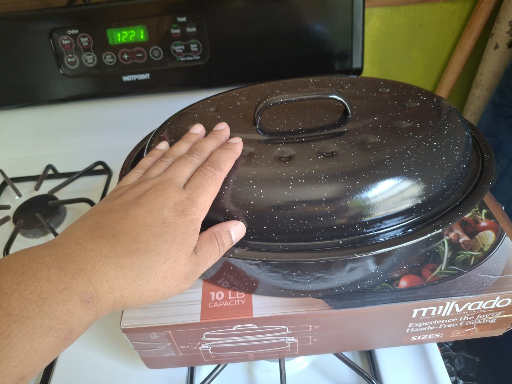 Roasting Pan With Lid, Turkey Roaster Pan, 13