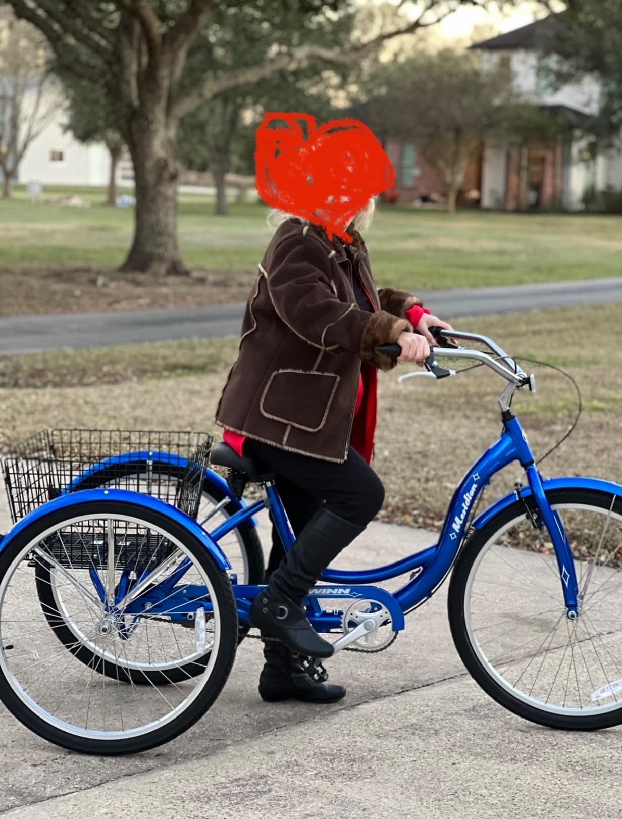 Schwinn Meridian Adult Tricycle, Step-Through 3-Wheel Bike customer photo 2