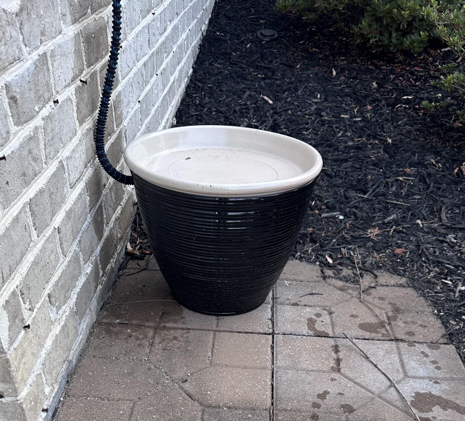 J&B XpandaHose 50ft Expandable Garden Hose, Lightweight, Brass Connectors | Ultra Strong 3750D fabric, 4-layer latex core, expands 3X, kink & leak-resistant, 10-pattern nozzle, storage bag customer photo 1