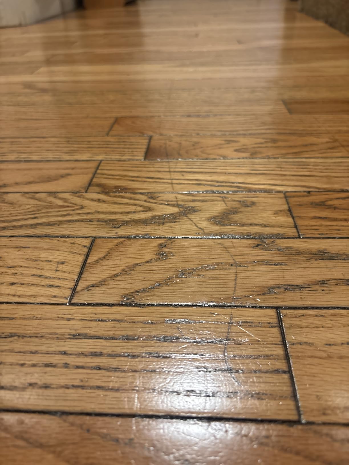 Clean-eez Ultimate Floor Restorer & Polish - Revitalize, Protect, Shine Wood, Laminate, Vinyl, Bamboo, Slate, Terracotta & More (1 Bottle W/Microfiber) customer photo 1