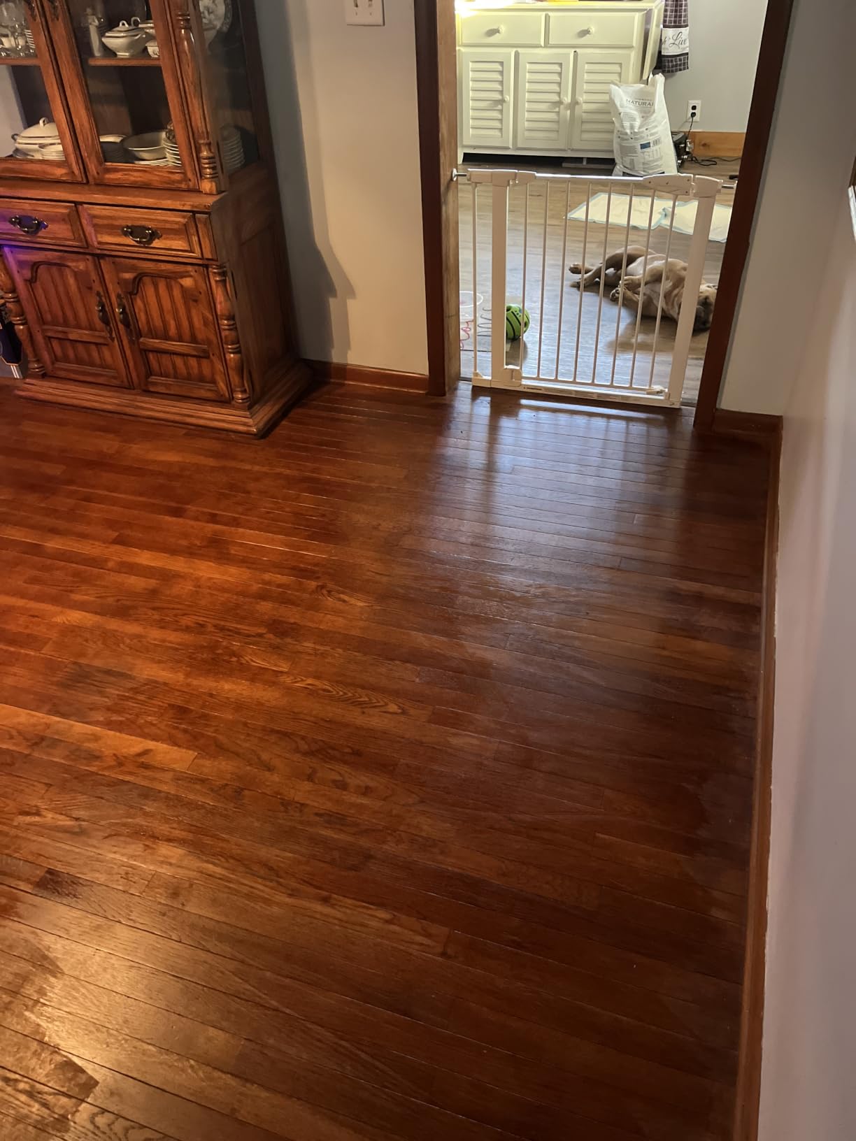 Clean-eez Ultimate Floor Restorer & Polish - Revitalize, Protect, Shine Wood, Laminate, Vinyl, Bamboo, Slate, Terracotta & More (1 Bottle W/Microfiber) customer photo 2