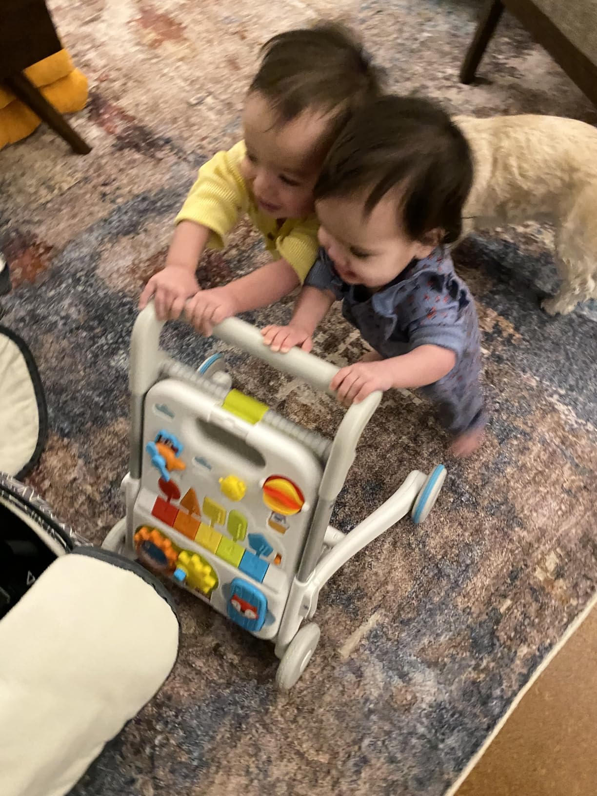 Skip Hop Baby Walker 4-in-1 Sit to Stand Convertible Light Up Walker with 40+ Activities Explore & More Age 6m+ customer photo 2