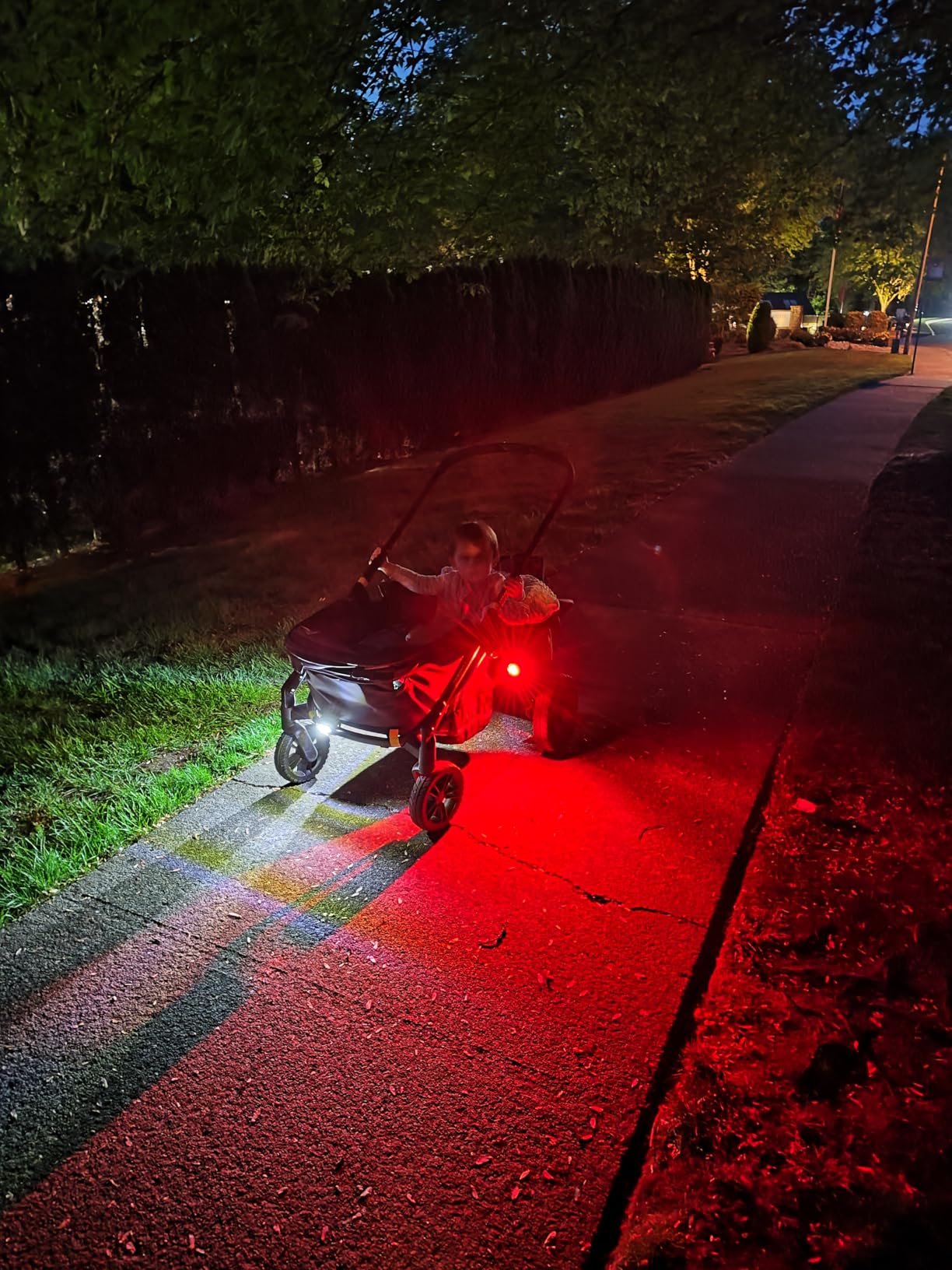 Schwinn LED Tool Free Bike Light customer photo 1