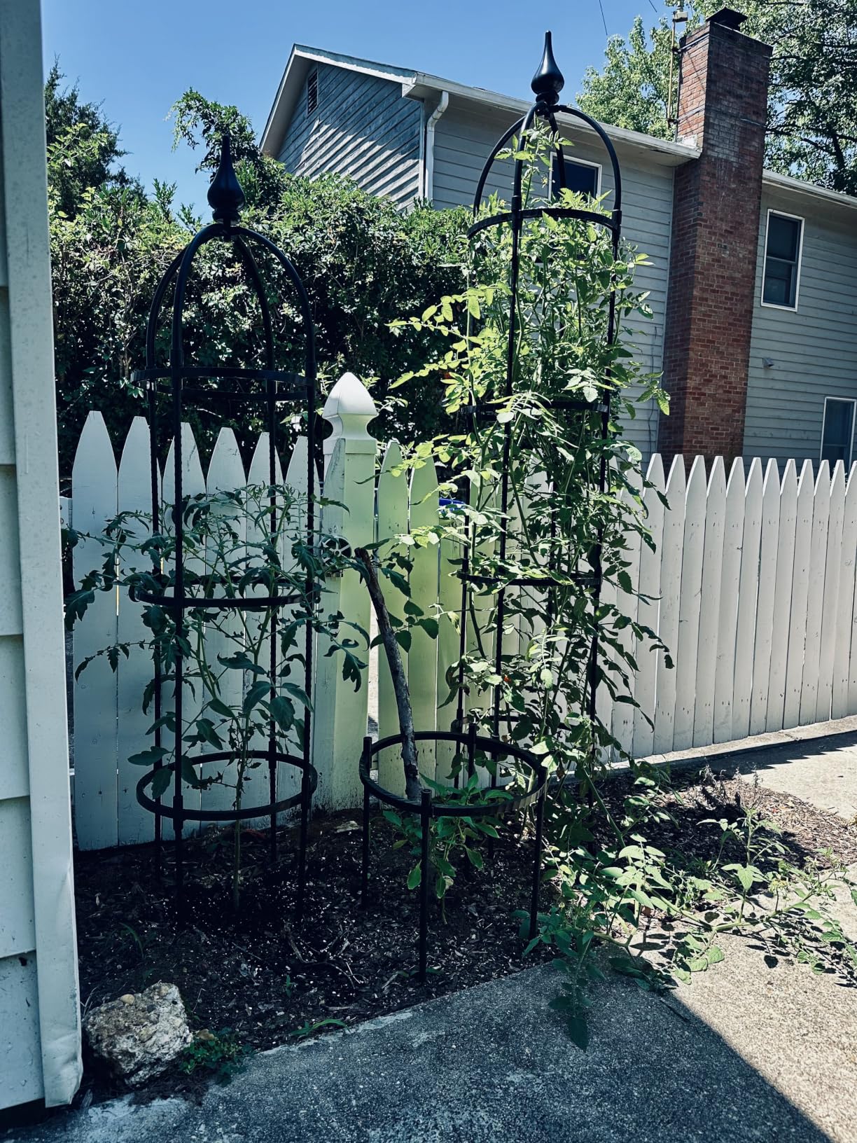 WellSign 2Pack 6.6ft Obelisk Trellis for Climbing Plants Outdoor Indoor | Garden Tower Trellis for Potted Plants with Twist Tie, Clips and Butterflies Rustproof Coated Metal Support for Vines Rose customer photo 1