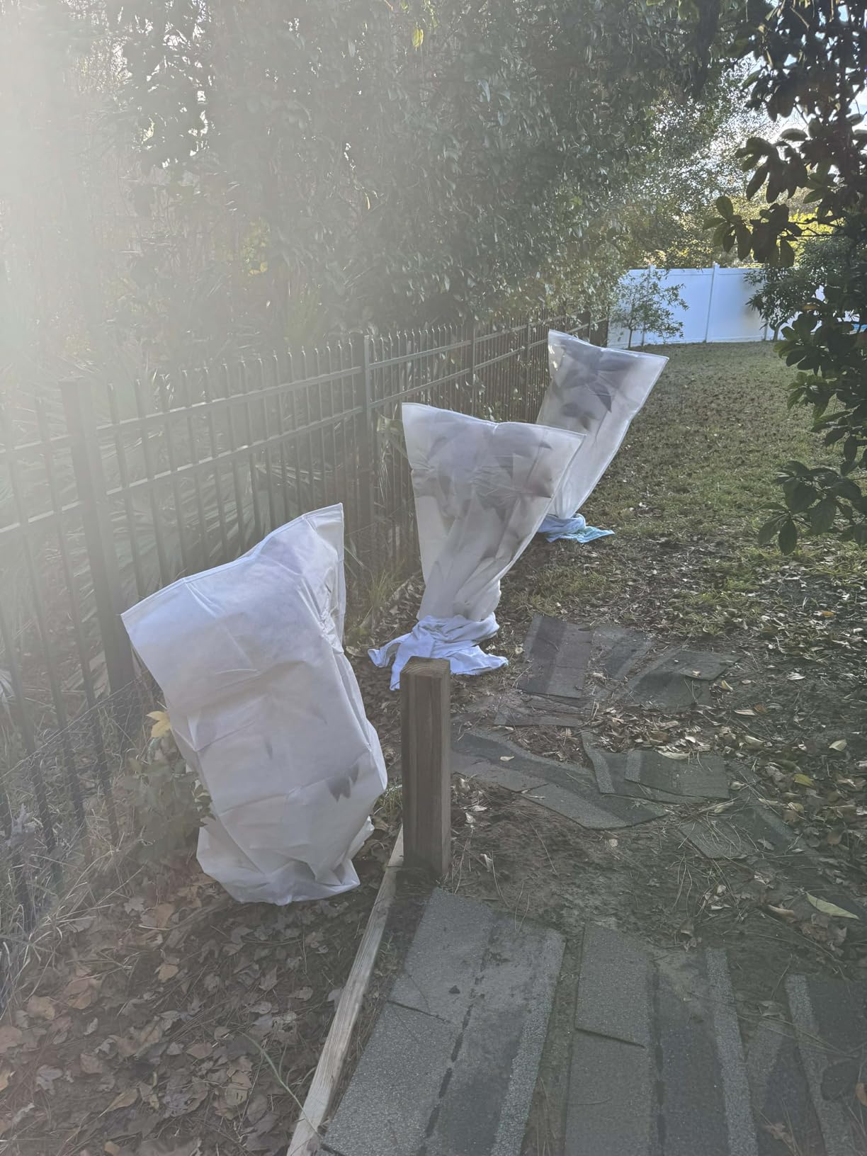 EAONE 12 Pack Plant Covers Freeze Protection, 32x47'' Winter Frosts Cloth for Outdoor Plants, Reusable Frost Blankets Drawstring Bags for Cold Freeze Sun Protection Bird Insect Prevention, White customer photo 1
