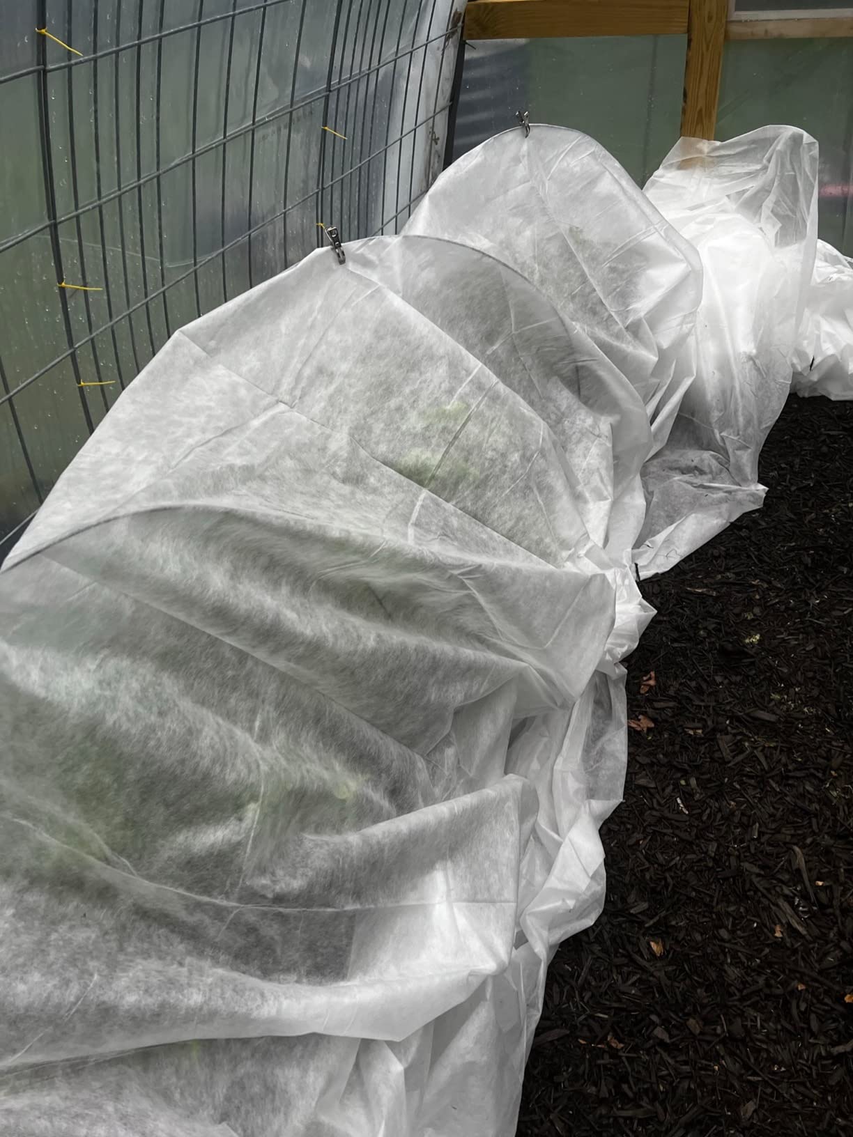 Plant Freeze Protection Cover, 7x50 FT Floating Row Cover | Frost Cloth Winter Garden Blanket for Cold Weather and Shade, Perfect for Outdoor Vegetables, Trees, Greenhouse customer photo 1