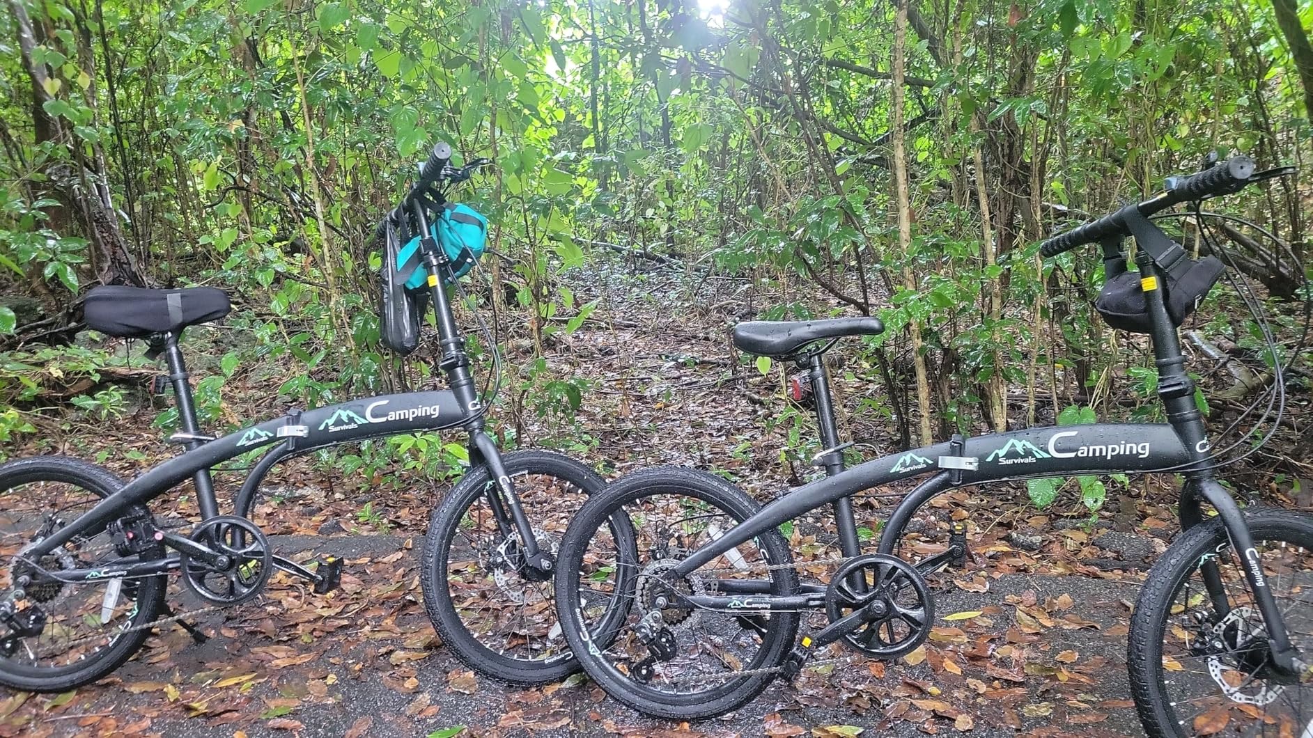 Ktaxon 20 in Folding Bike Adult Bike, 7-Speed Folding Bicycle with 100% Assembled, Double Shock Effect, Powerful Mechanical Dual Disc Brakes and Adjustable Design (Black & Green) customer photo 1