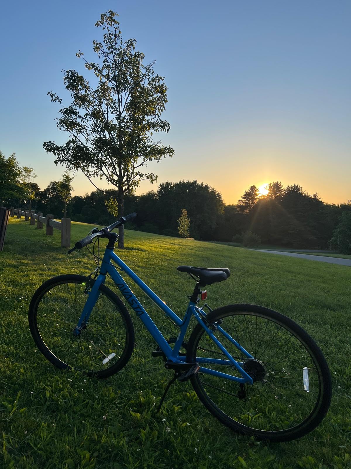 AVASTA Populus 700C Road Bike for Women with Kickstand, Lightweight Step Through Aluminum Alloy Frame, 7-Speed Drivetrain customer photo 1