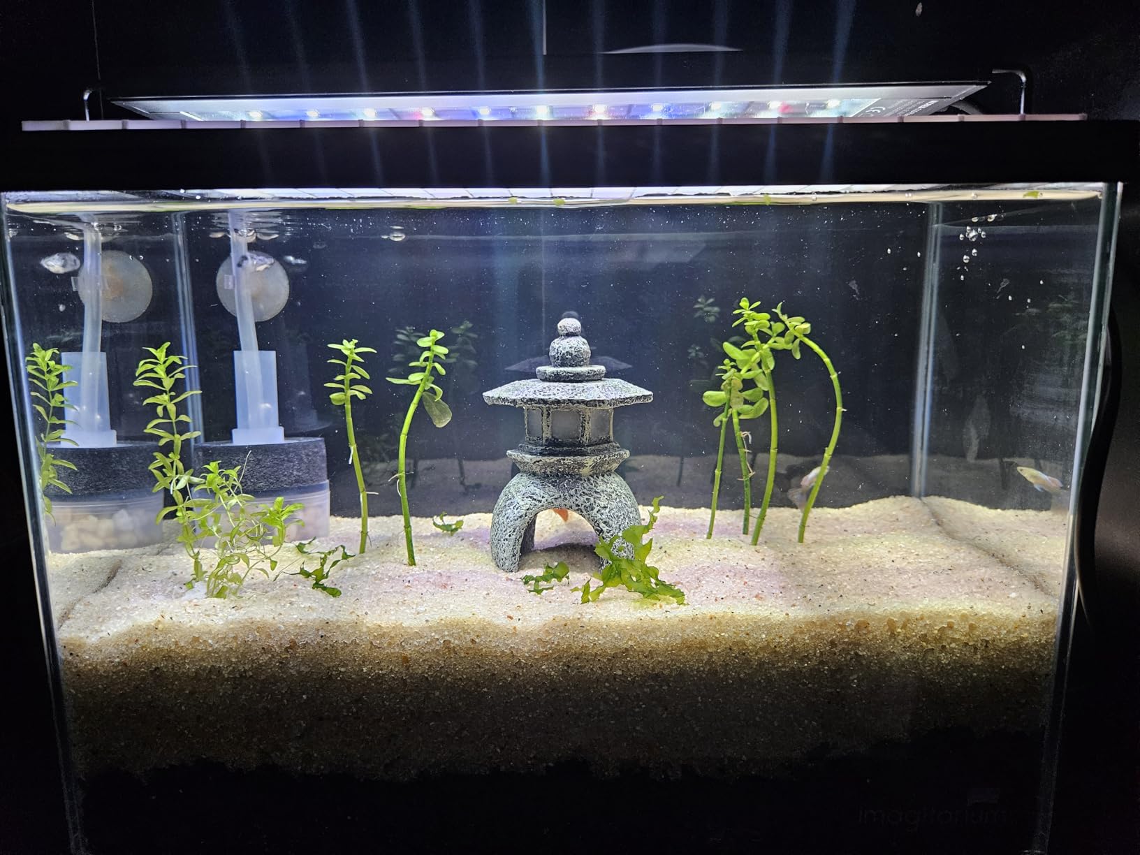 NICREW C10 Plants LED Aquarium Light, 18-24 in, 13 Watts, Full Spectrum Fish Tank Light with Timer, Day and Night Cycle, Brightness Adjustable customer photo 2