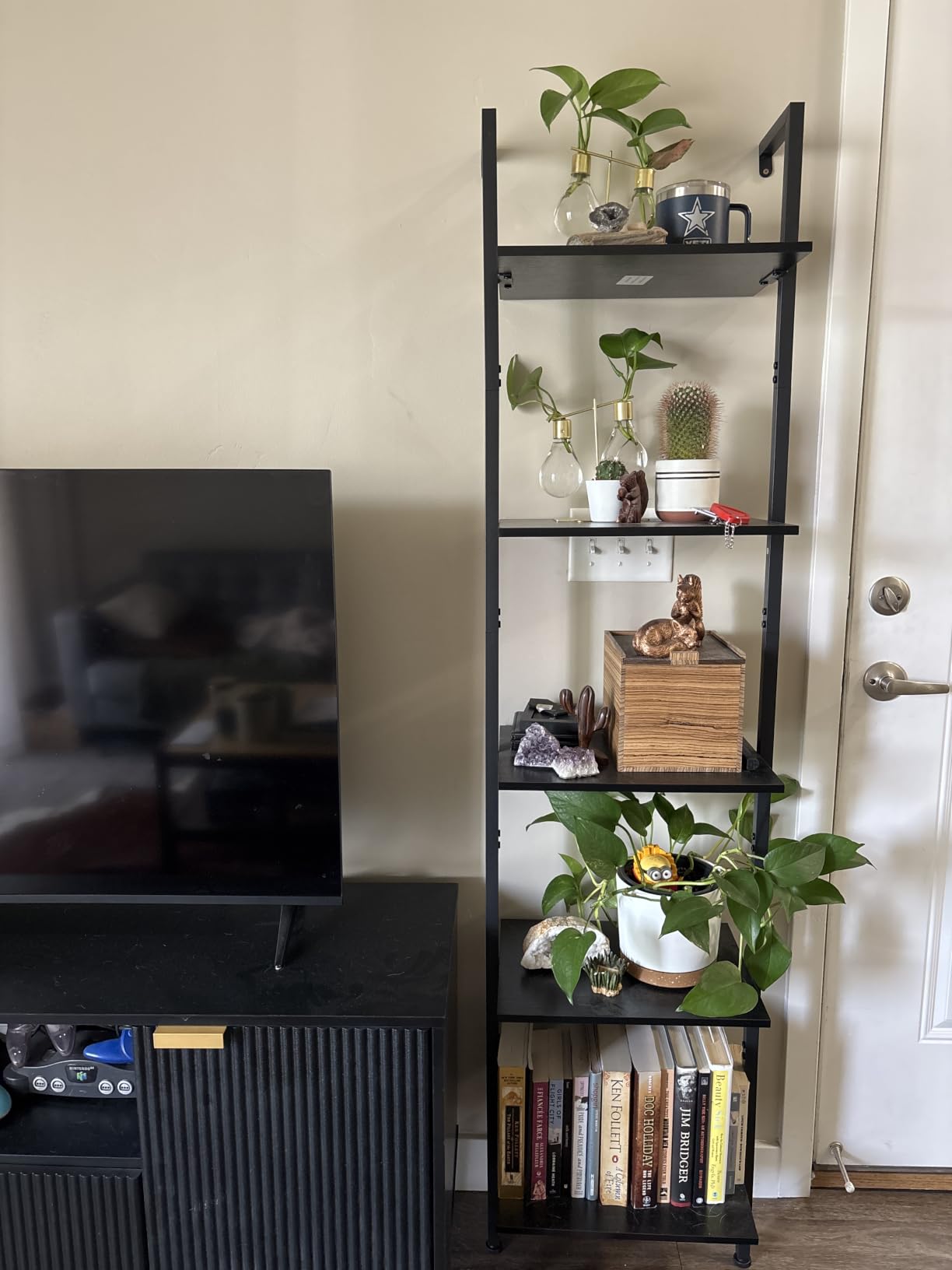 ELYKEN Ladder Shelf, 5-Tier Wood Wall Mounted Ladder Bookshelf | Leaning Storage Shelves with Metal Frame, Vintage Open Display Organizer Rack for Living Room, Bedroom, Home Office, White customer photo 1