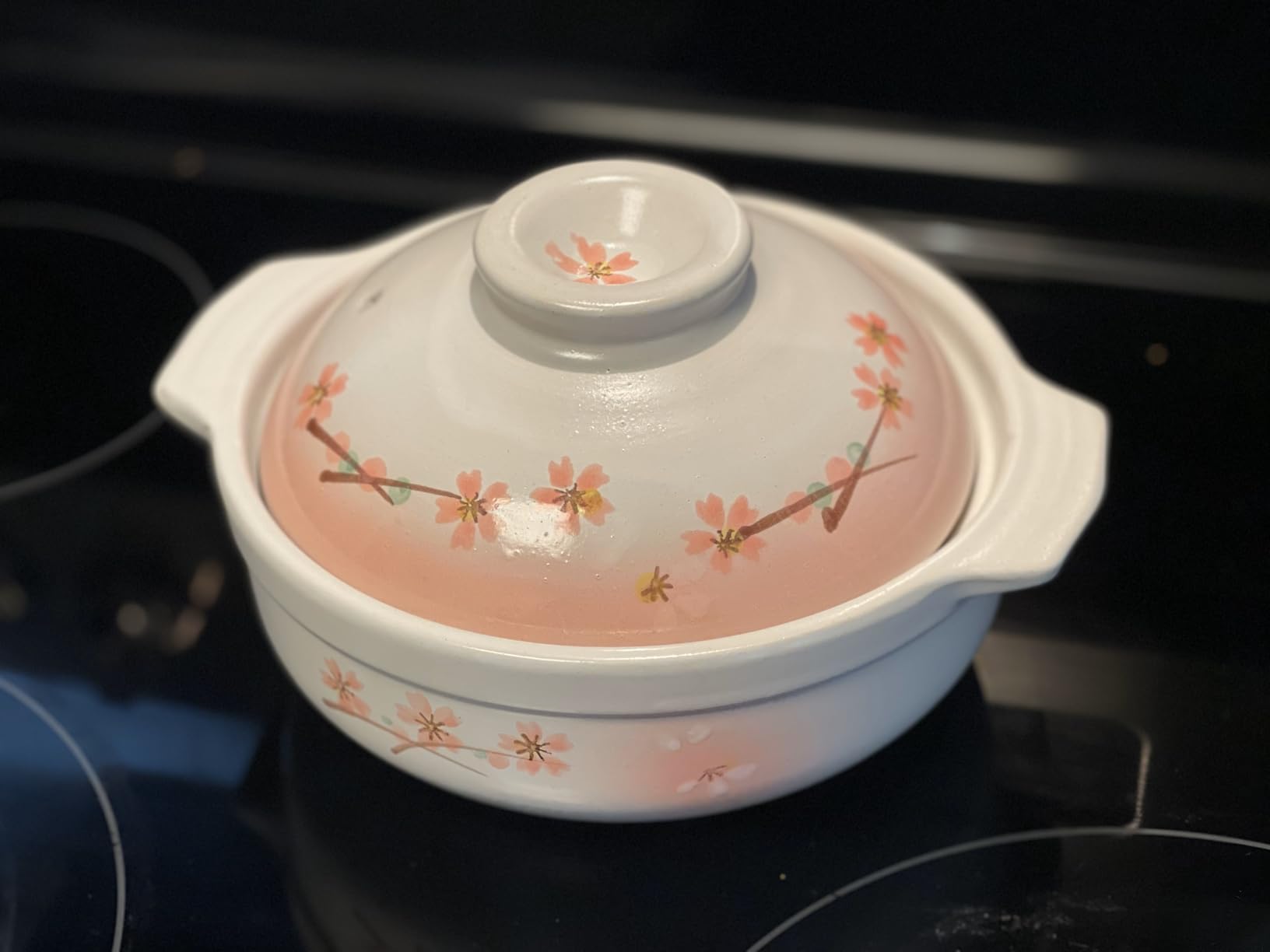 JapanBargain Clay Pot for Cooking Japanese Donabe Hot Pot Casserole Korean Earthenware Pot with Lid, Serving 3-4 People, 9.25 inch customer photo 1