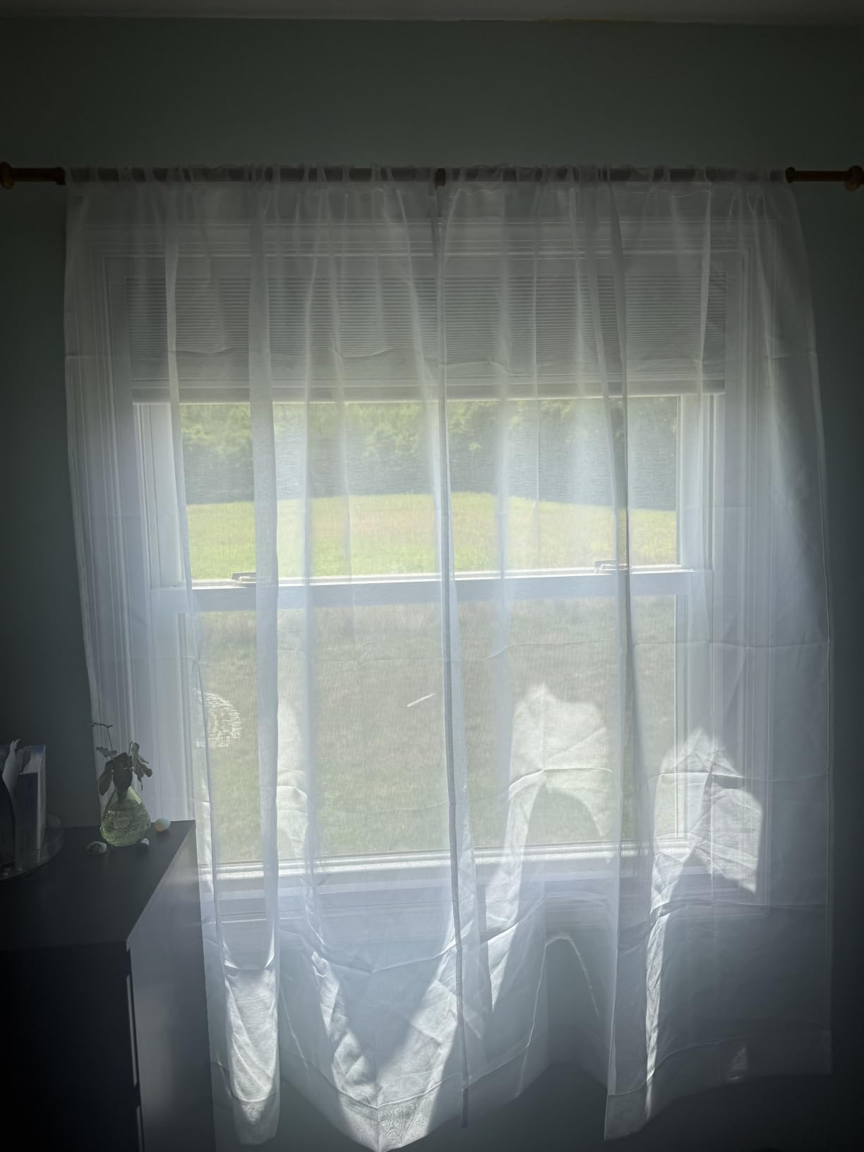 Hoeflife Cellular Shades Cordless Blackout, Skylight Blinds for Windows Roof Window Shades for Home, Room Darkening Honeycomb Blinds for Doors - Custom Cut to Size(Blackout, Black) customer photo 2