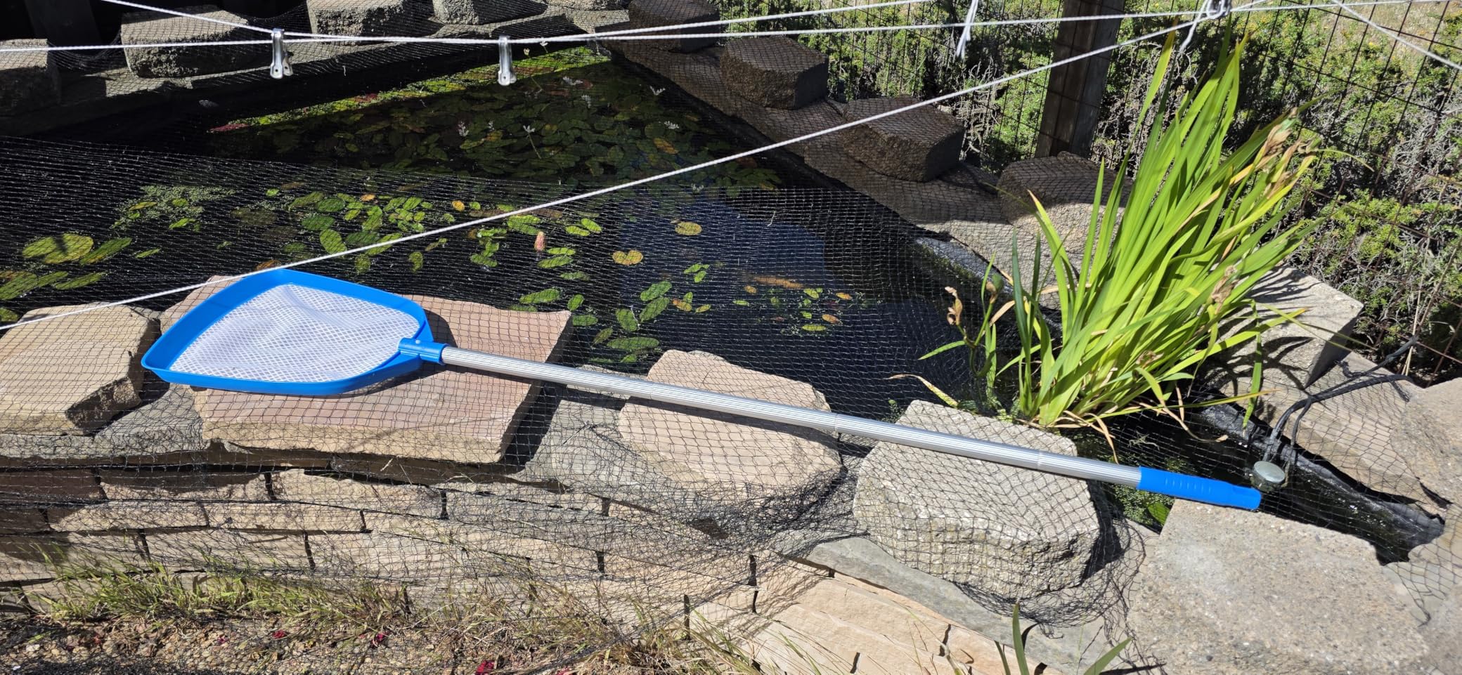 TidyMister 3PCS Pool Cleaning Kit - 12.5'' Pool Brush Round & 11'' Pool Skimmer Net Fine Mesh & 5.7 Feet Thick Aluminum Pole 5-Segment, for Above Ground & Inground Pools Ponds customer photo 1