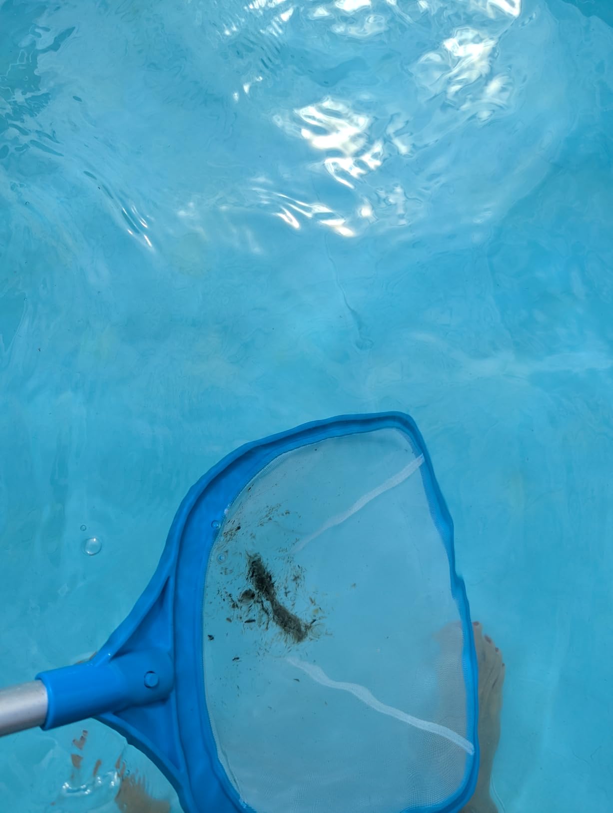 TidyMister 3PCS Pool Cleaning Kit - 12.5'' Pool Brush Round & 11'' Pool Skimmer Net Fine Mesh & 5.7 Feet Thick Aluminum Pole 5-Segment, for Above Ground & Inground Pools Ponds customer photo 2