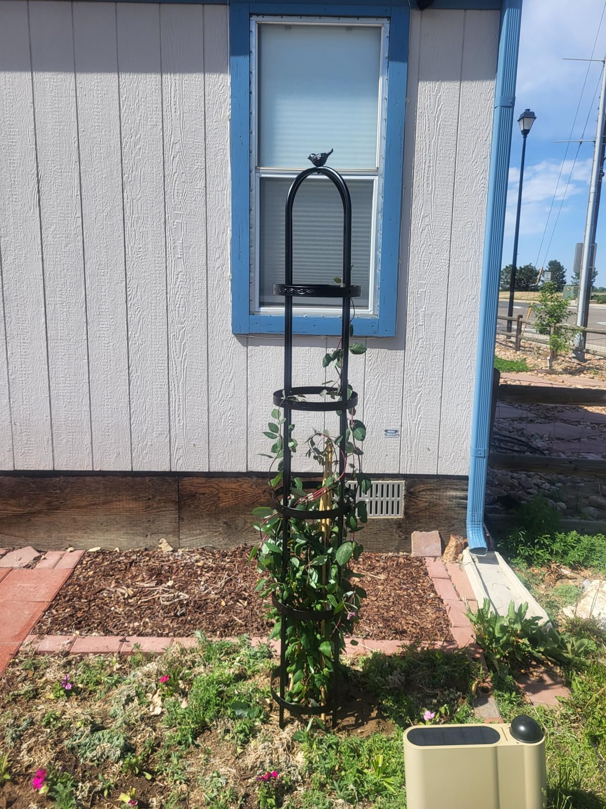 Evergreen 5 ft Garden Trellis for Climbing Plants Vines, Jasmine & Flowers, Rustproof Metal Obelisk Trellises, Outdoor & Indoor Plant Support for Potted Planters (Antique Copper) customer photo 1