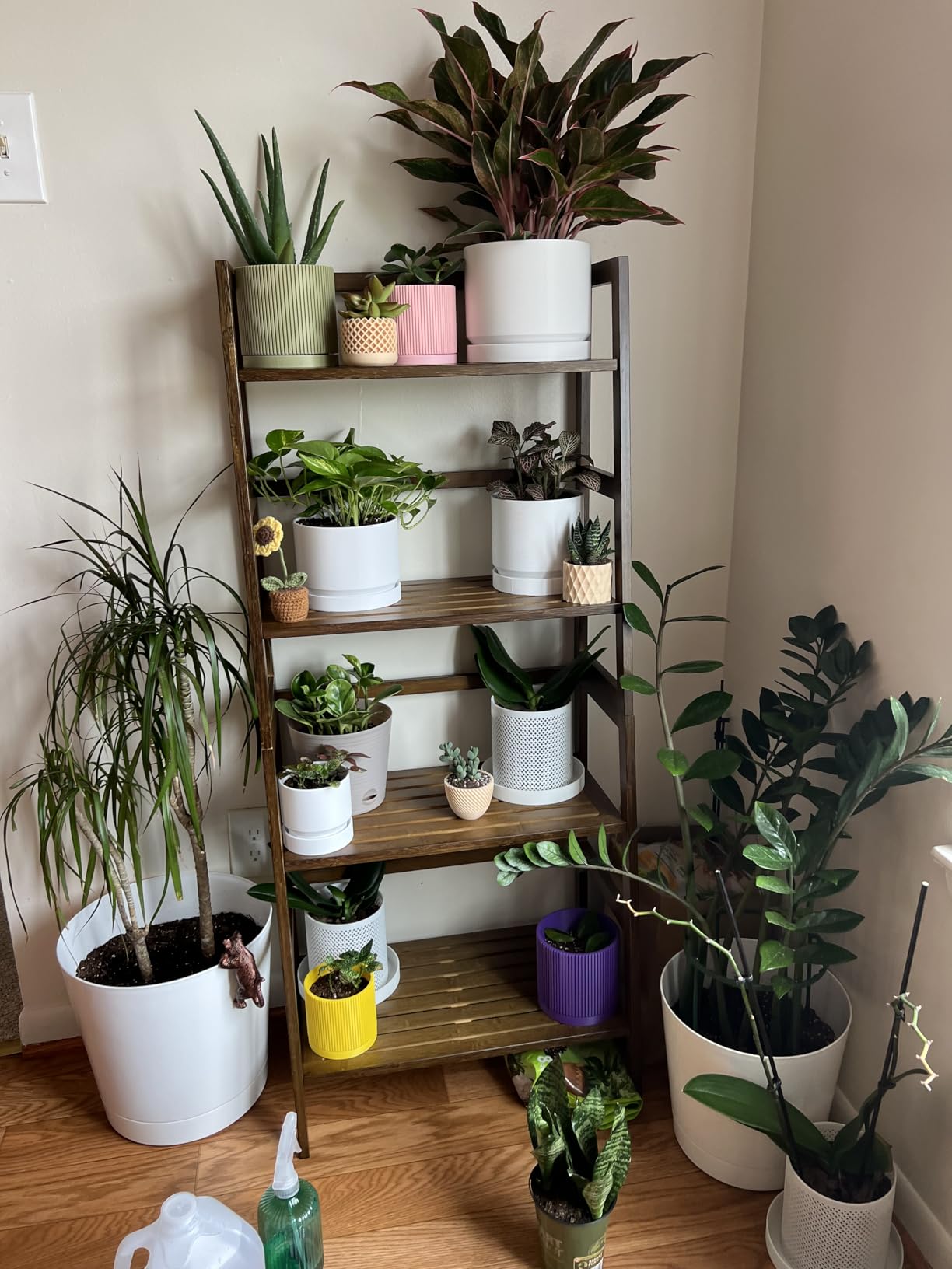 HITNET Ladder Shelf, 4-Tier Bookshelf, Bamboo Leaning Bookcase, Display Storage Rack Organizer, Freestanding Flower Plant Stand for Living Room, Home Office, Kitchen, Natural customer photo 2