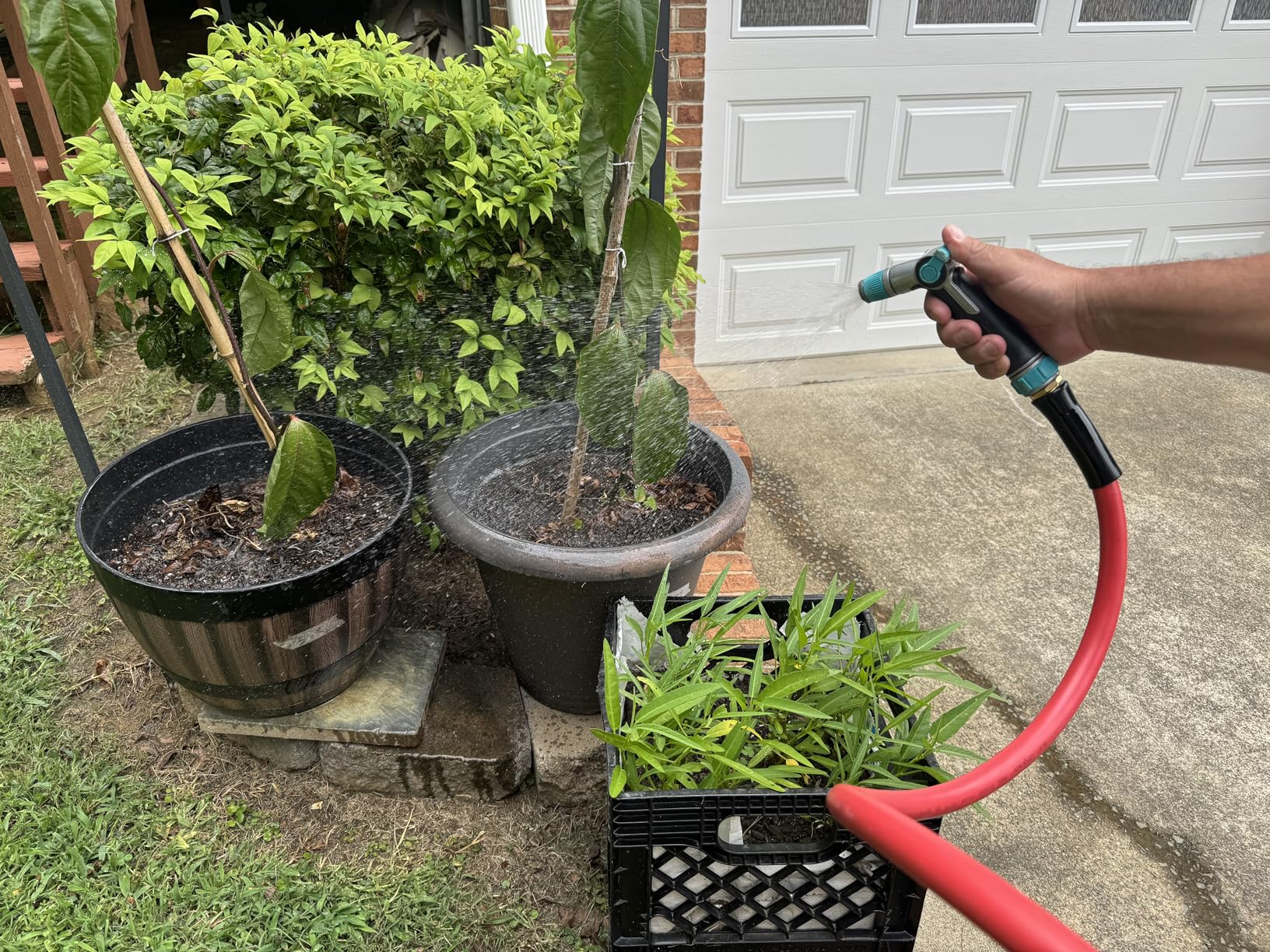 Garden Hose 50ft x 5/8