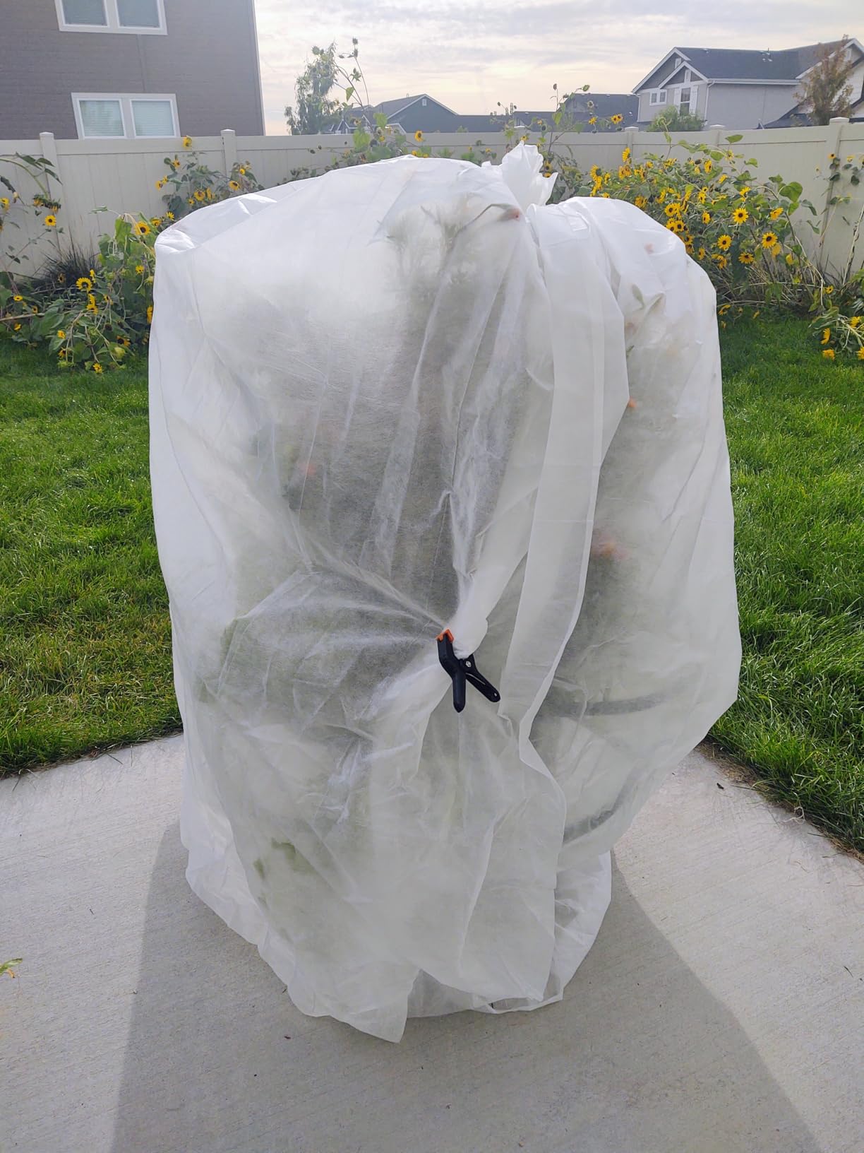 MAQIHAN Plant Covers Freeze Protection - Frost Cloth & Floating Row Cover | 6.5 x 13 feet Frost Covers for Outdoor Plants, Row Covers for Garden, Non-Woven Plant Blanket for Cold Weather, Snow & Winter customer photo 1