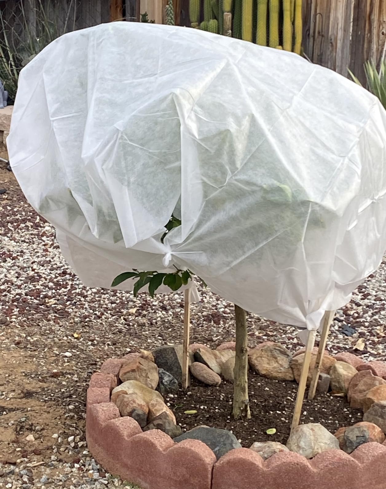MAQIHAN Plant Covers Freeze Protection - Frost Cloth & Floating Row Cover | 6.5 x 13 feet Frost Covers for Outdoor Plants, Row Covers for Garden, Non-Woven Plant Blanket for Cold Weather, Snow & Winter customer photo 2