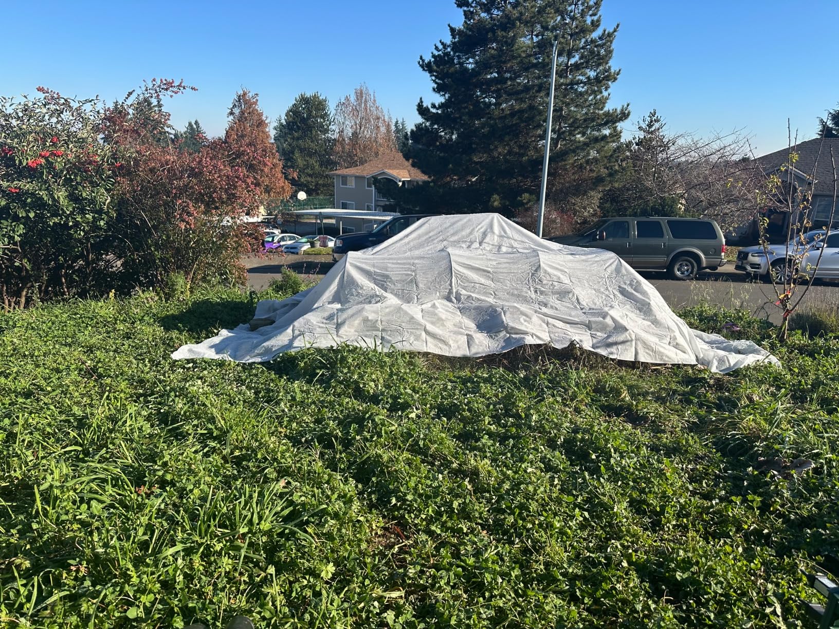 AlpineReach Plant Covers Frost & Sun Protection 10 x 30 ft - Thick 1.2 oz/yd² Freeze Blanket to Low 28 °F Temperatures Floating Row, Garden Fabric Material, Protect in Winter Cold, Gardening Down customer photo 2