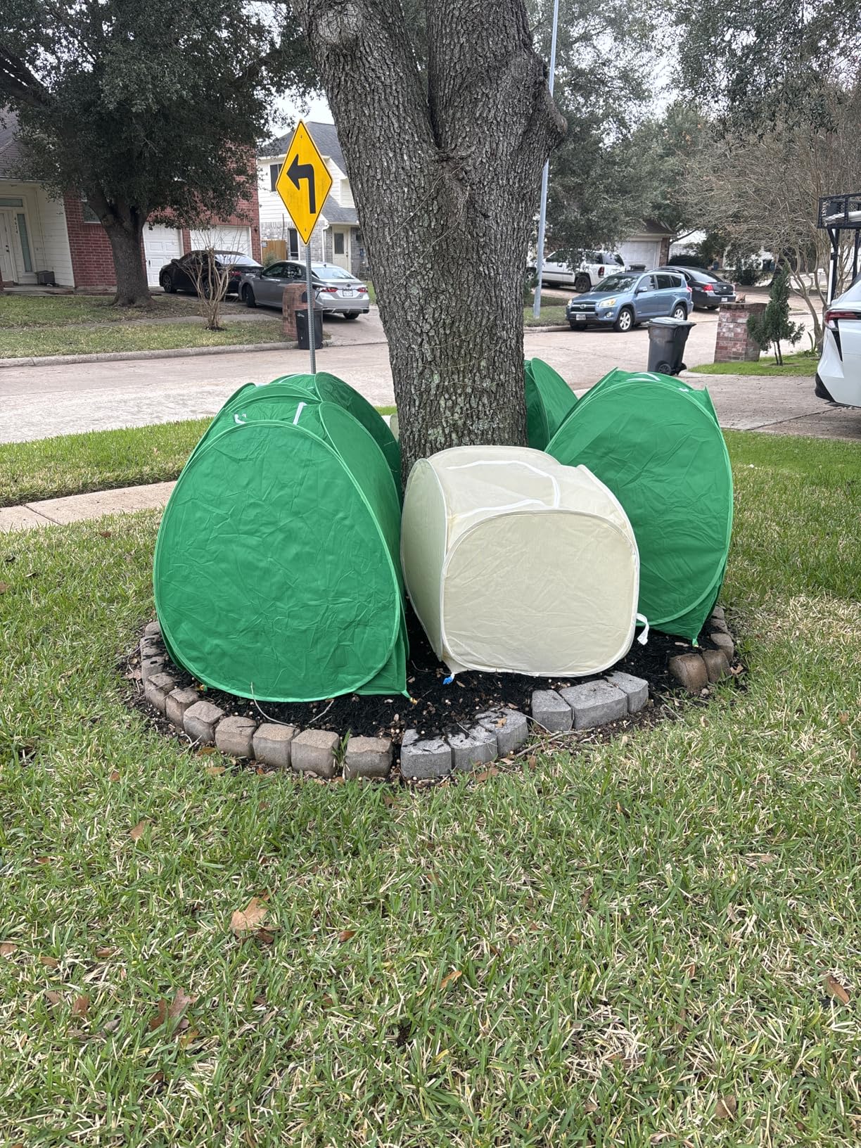 2 Pack Pop Up Winter Plant Covers, 28x28x33 Freeze Protection Shrub Covers | Shrub Covers for Winter, Frost Freeze Protection, Ground Stakes, Plant Tent for Rose, Tree, Potted Plants, Animals Protection customer photo 1