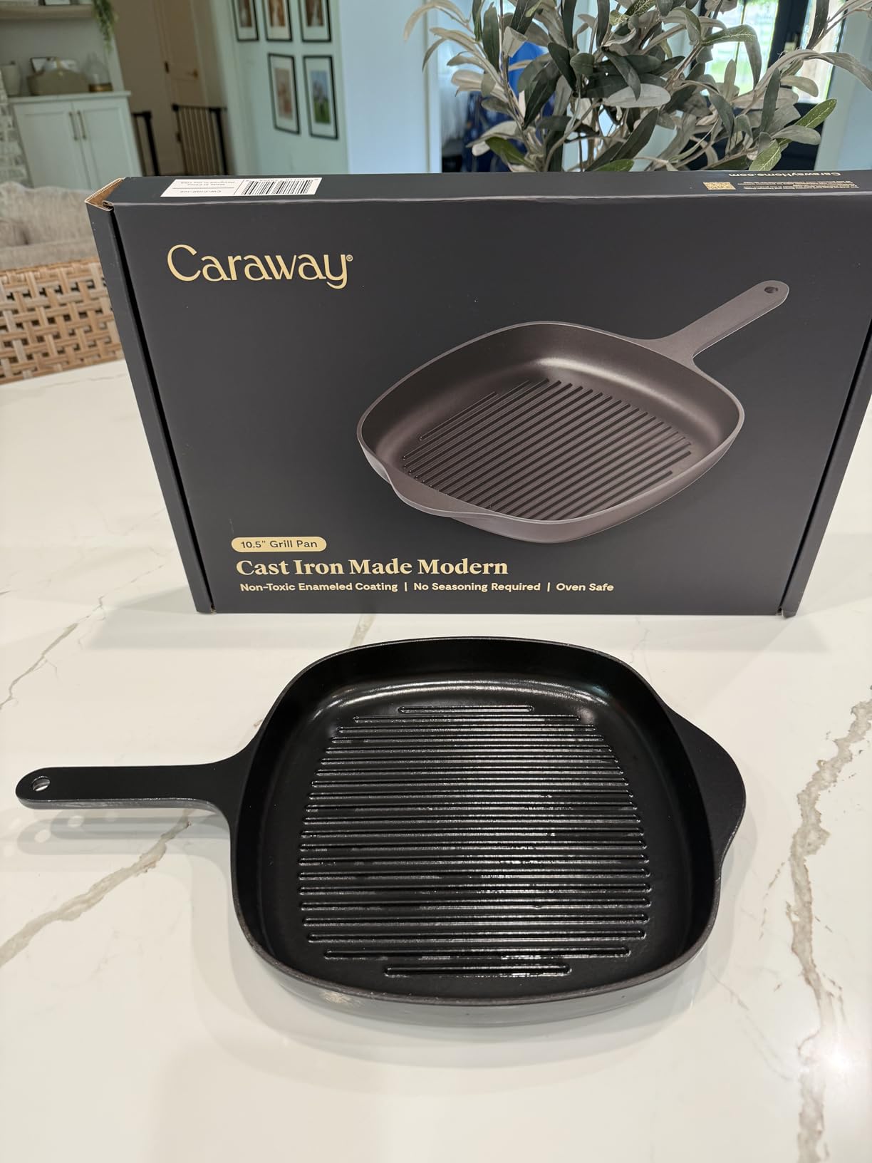 Caraway Enameled Cast Iron 10.5