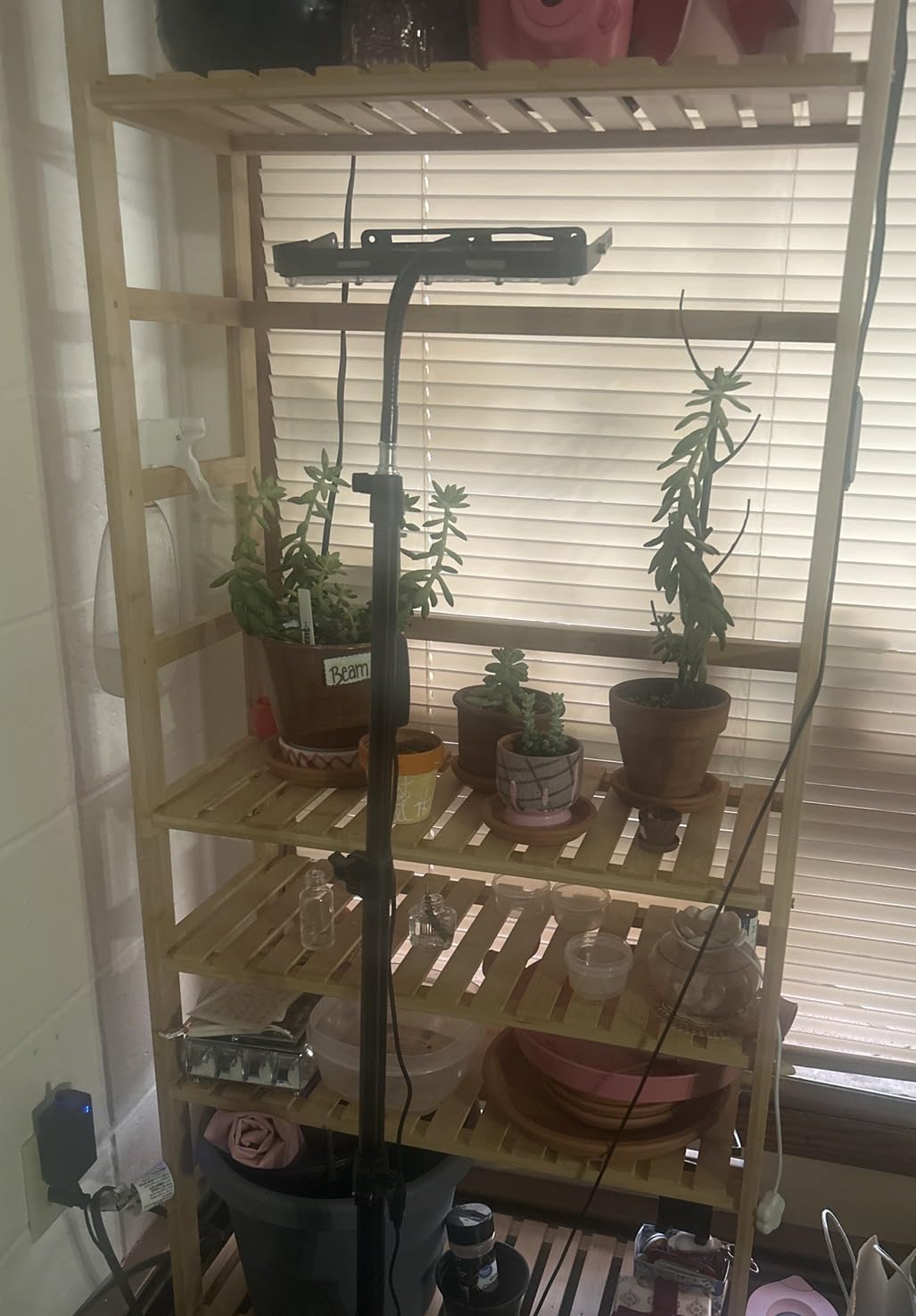 VEVOR 4-Tier Bamboo Ladder Shelf, Trapezoid Open Bookcase, Display Storage Rack Organizer, Freestanding Flower Plant Stand, Ladder Bookshelf Ideal for Bathroom, Bedroom, Office, Study, Natural customer photo 1