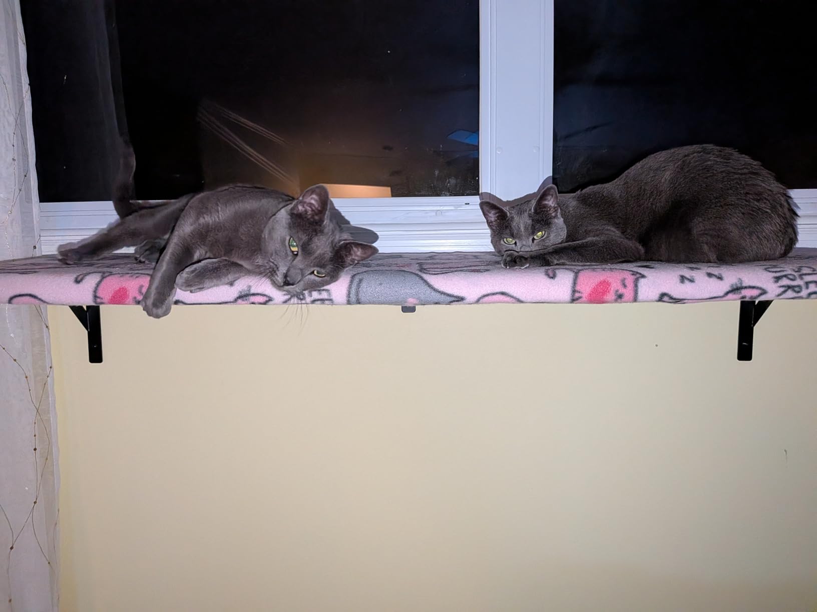 Long Wall Shelves, 48