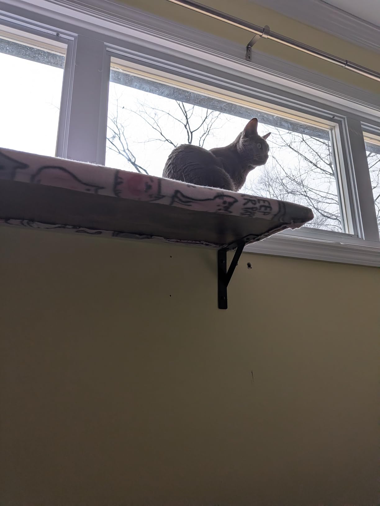 Long Wall Shelves, 48