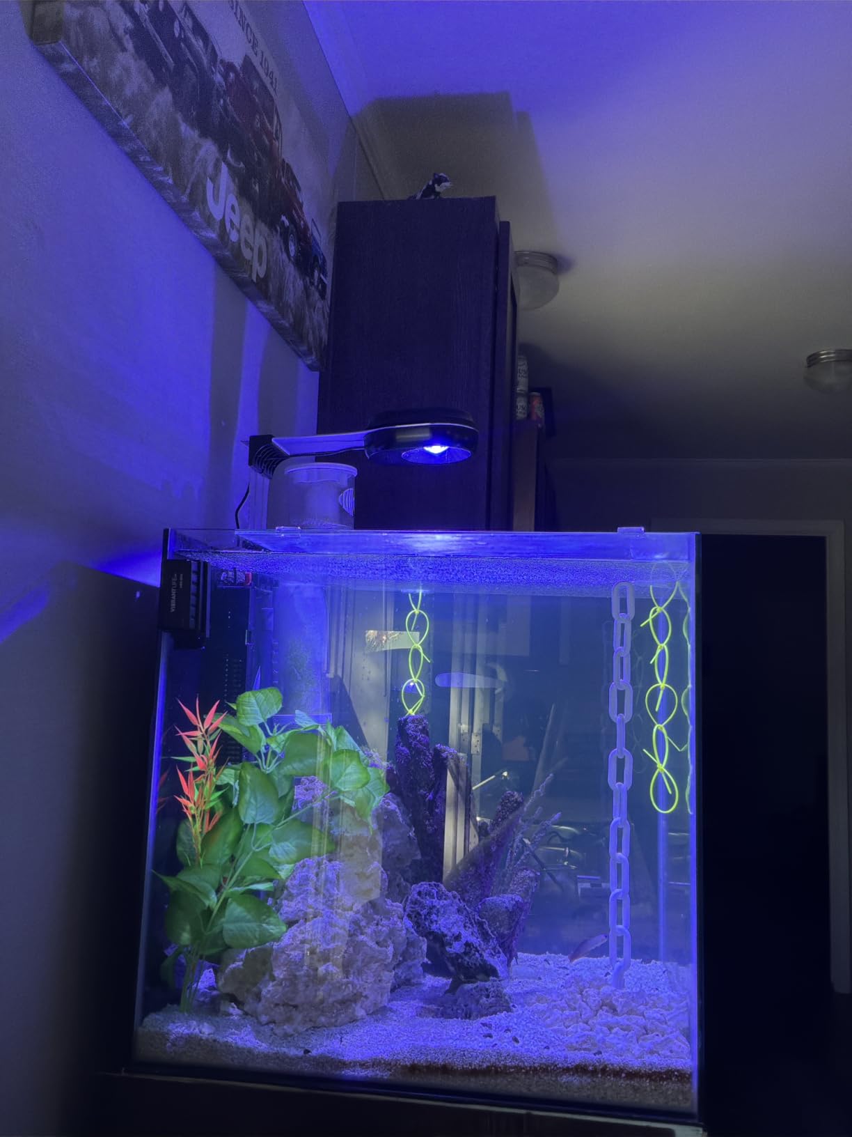 PopBloom RL60 WiFi Reef LED Light, 60W Full Spectrum Marine Reef LED Aquarium Lighting for Soft/LPS Corals & Saltwater Fish Nano Tanks, Built-in Timer, WiFi Phone Programmable, Sunrise Sunset customer photo 2