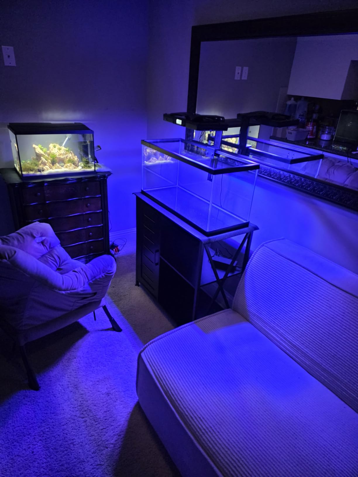 SEAOURA Reef Light 120W for Corals Saltwater Aquarium Tank, 395-665nm Full Spectrum, WRGB 5 Channel Programmable, 3 Timer, Smart Quite Cooling, Vibrant SPS LPS Color & Fluoresce customer photo 1