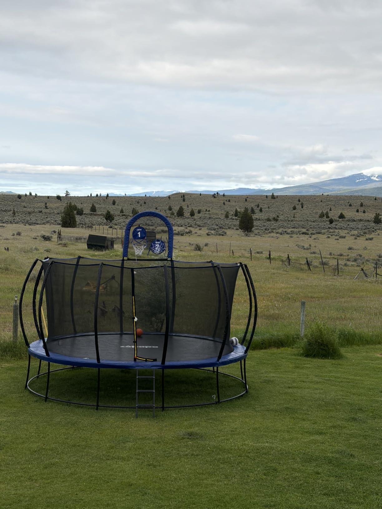 Zupapa 1800LBS Capacity No-Gap Design 16 15 14 12FT Trampoline with Safety Enclosure Net and Non-Slip Ladder 10-Year Quality Assurance customer photo 1