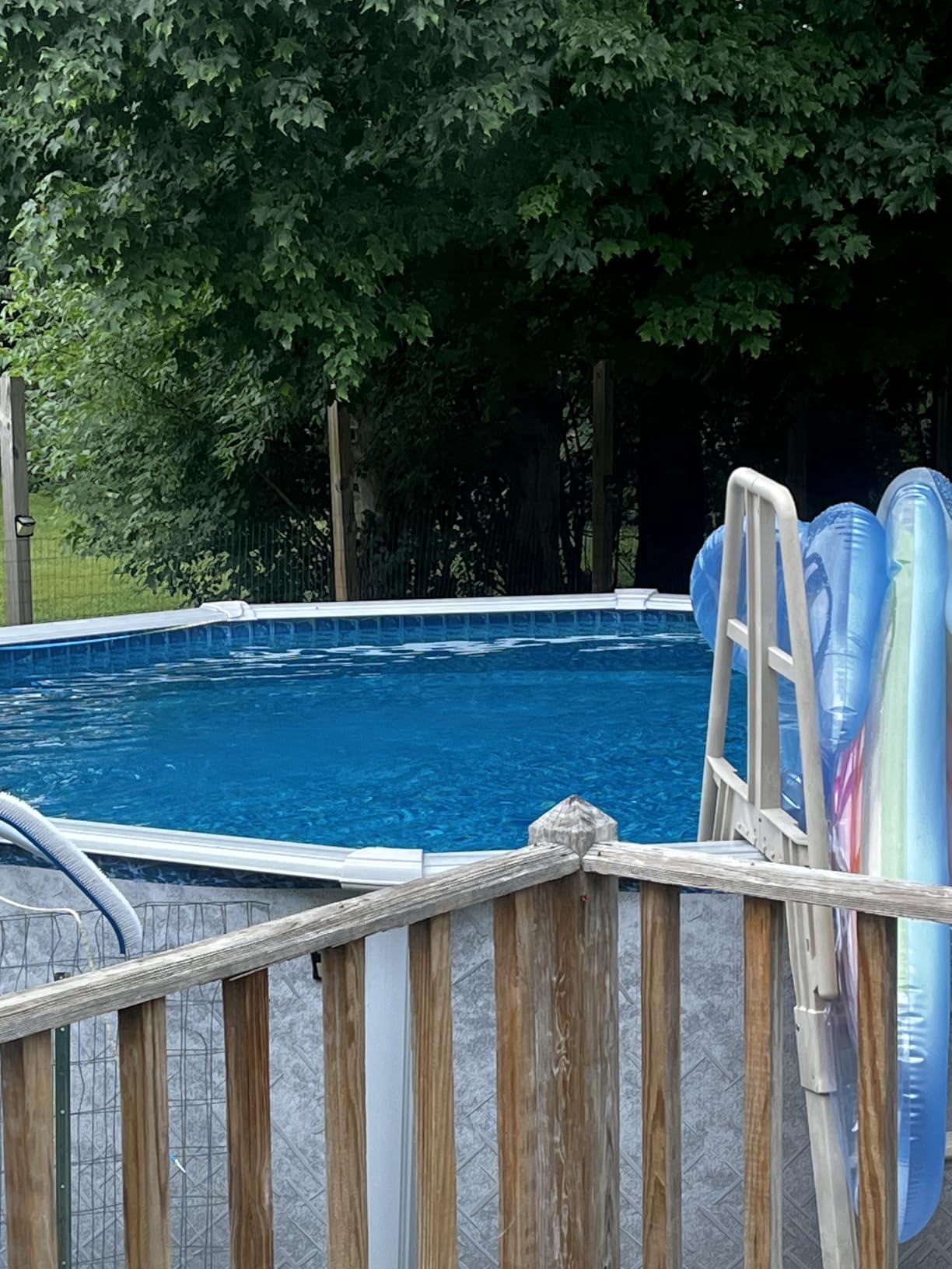 Pool Brush Head | 18