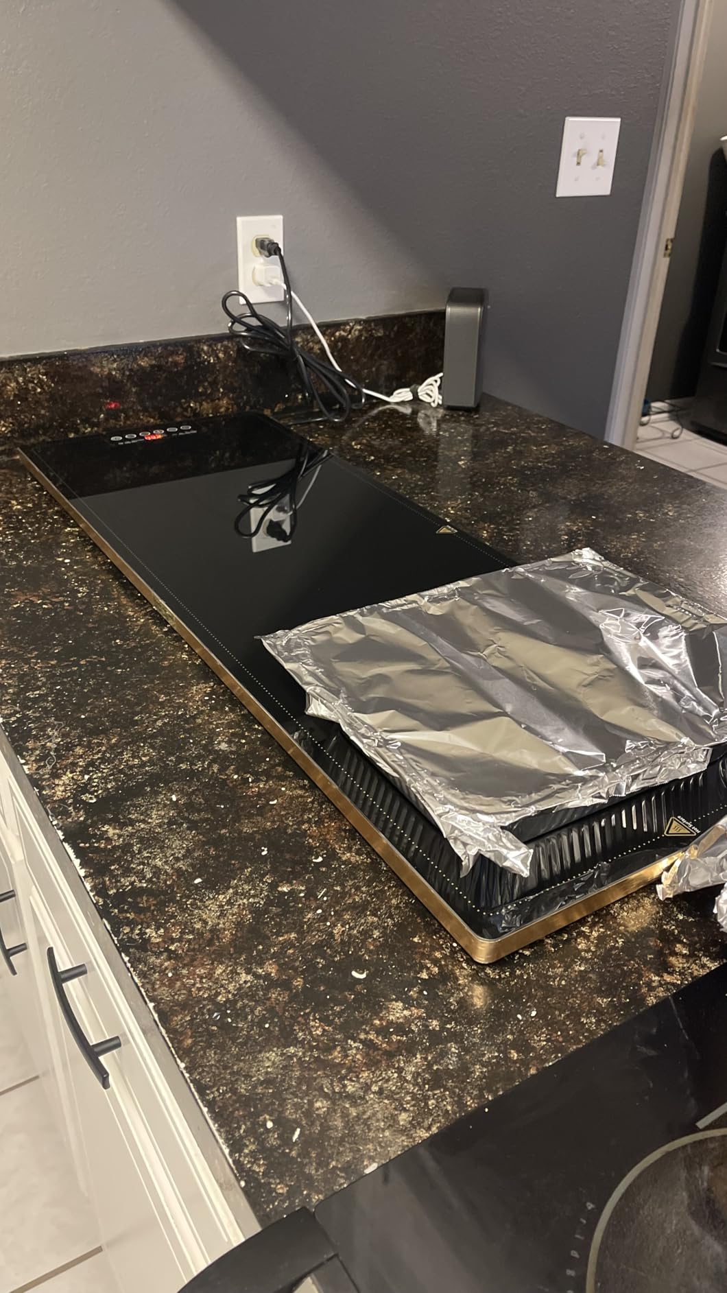 Electric Warming Trays 40x14 Adjustable Temp customer photo 1