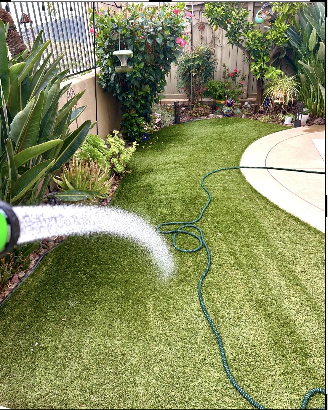 Flexi Hose with 8 Function Nozzle, 50FT - Lightweight Expandable Garden Hose, No-Kink Flexibility, 3/4 Inch Solid Brass Fittings and Double Latex Core customer photo 2