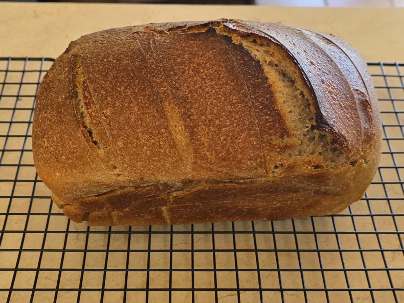 11x5 Inch Cast Iron Loaf Pan with Lid, Sourdough Pan | Large Dutch Oven Bread Loaf Pan for Sourdough, Homemade Bread Baking, Even Heat Distribution, 5.8Qt customer photo 2