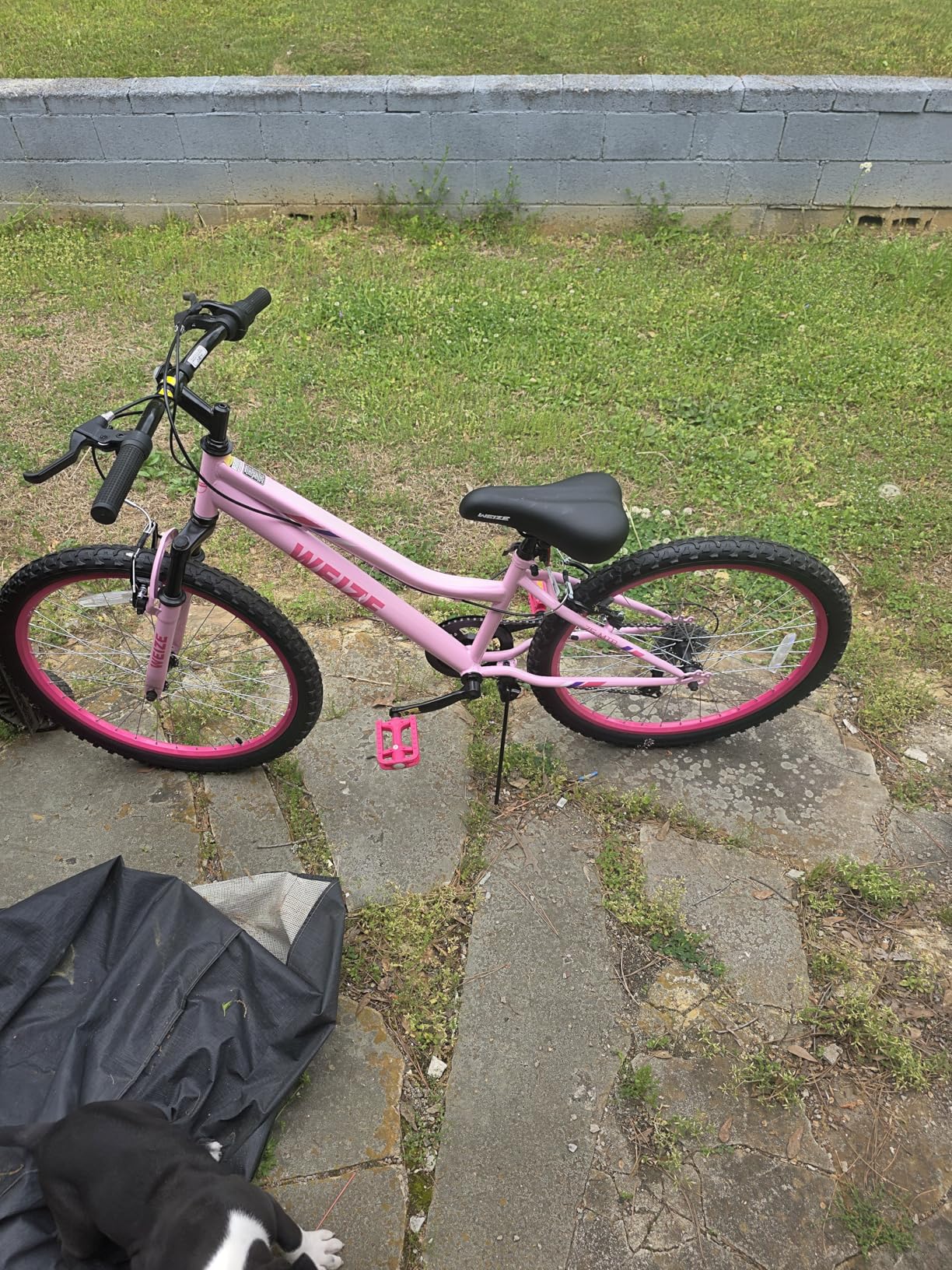 WEIZE 20 24 Inch Kids Mountain Bike, Kids Bike for Girls Age 6-14 Year Old, 6 Speed Kid Bicycle with Front Suspension Fork, Adjustable Seat Height, High-Carbon Steel Frame, Ideal for Girl Adventurers customer photo 1