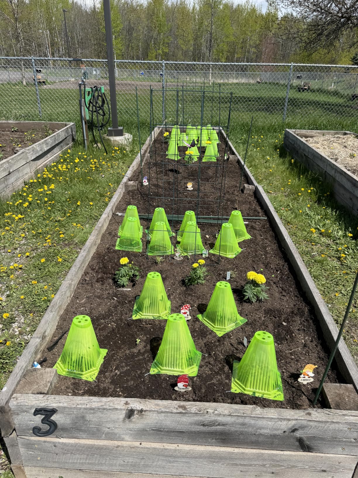 40PCS Garden Cloches for Plants with 80PCS Ground Stakes, Reusable Plant Bell Cover, Plastic Small Plant Seedling Protector Plants Cloches from Animals, Chickens, Birds, Snails & Frost, 7.9