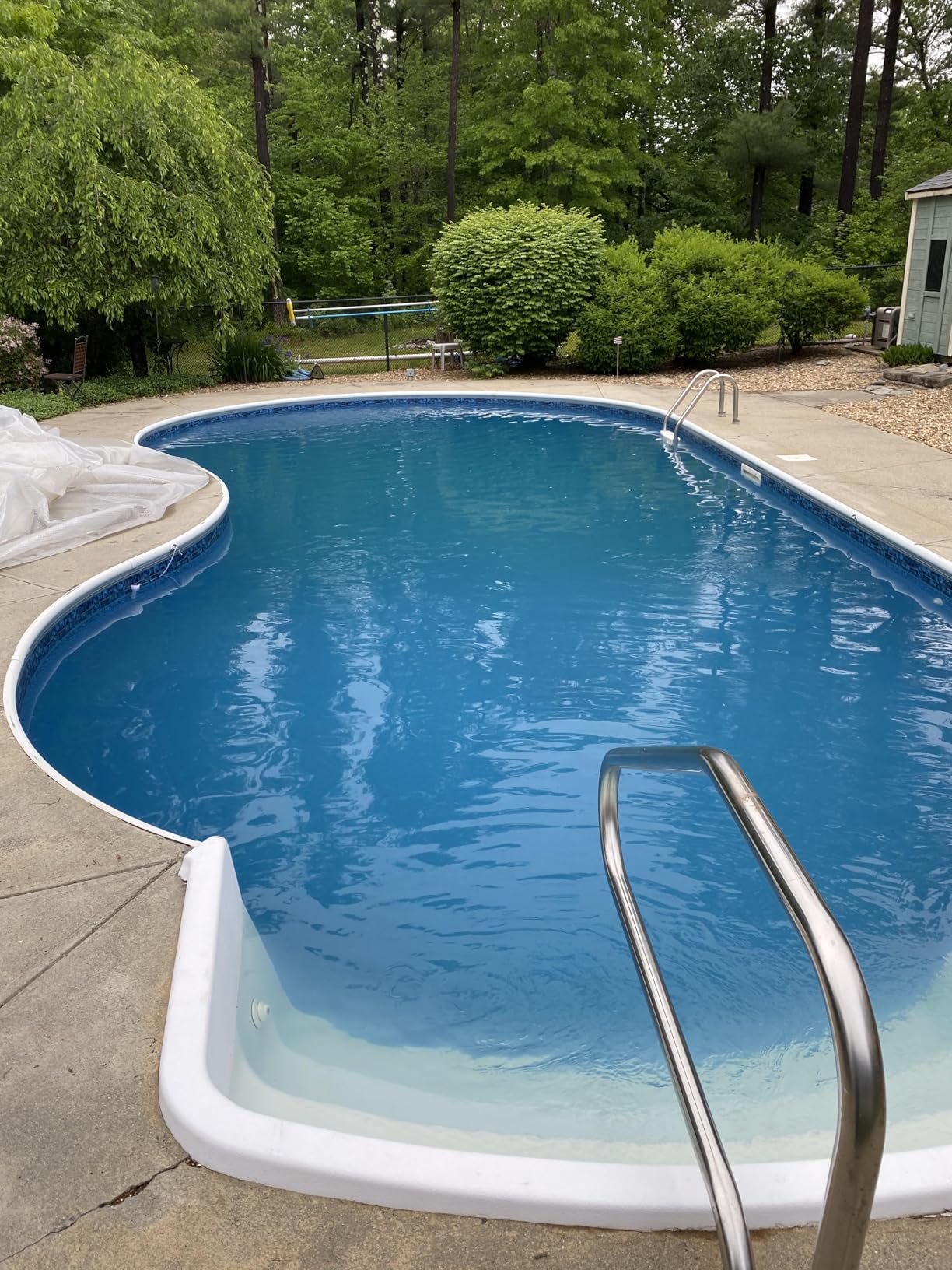 Pool Cleaning Kit 12.5 in Pool Brush Head, Skimmer Net 76.5 in Aluminum Pole | Ultra-fine Mesh for Removing Debris and Dirt from Swimming Pools customer photo 2